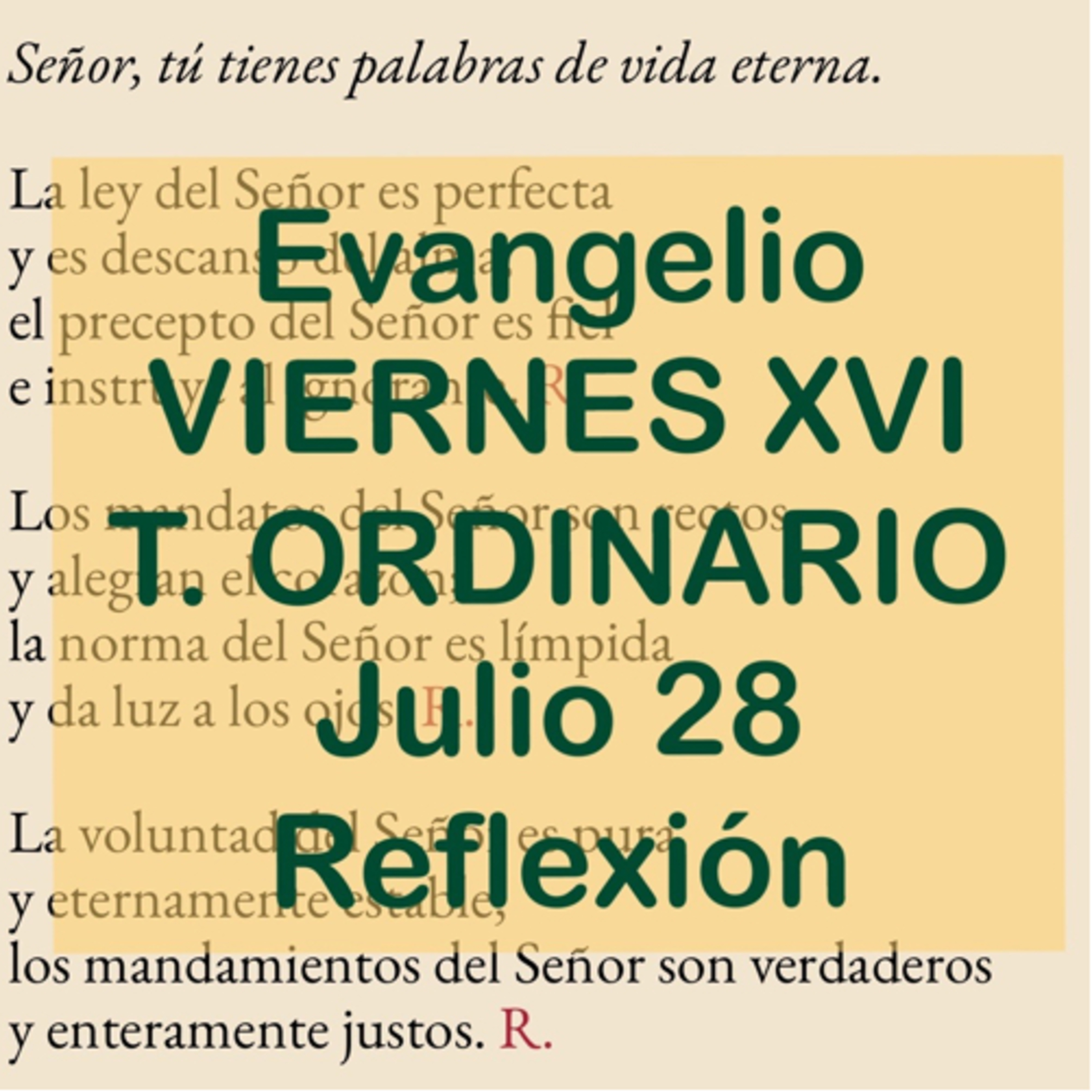 VIERNES XVI DE TIEMPO ORDINARIO. Julio 28. Evangelio y reflexión. episode artwork