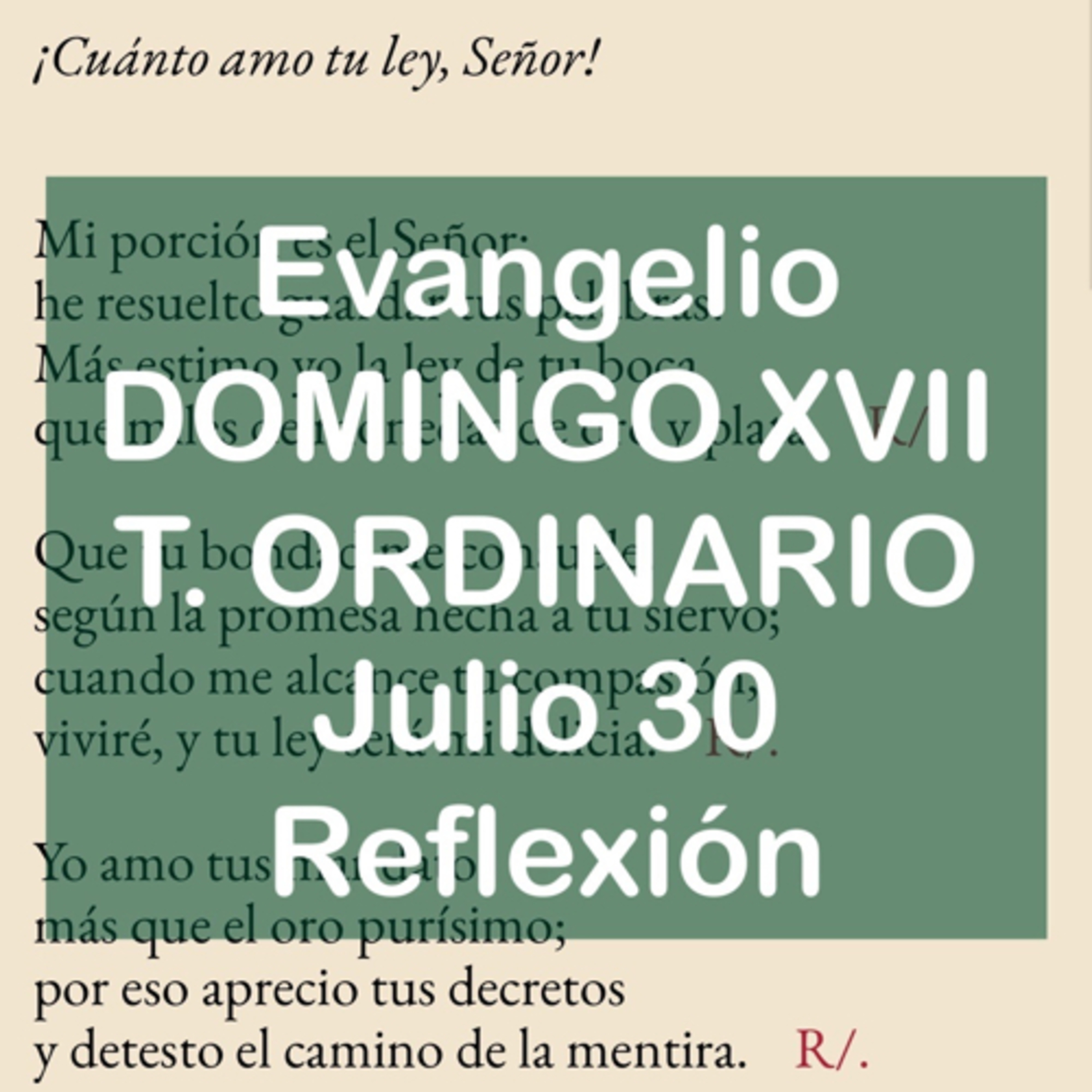 DOMINGO XVII DE TIEMPO ORDINARIO. Julio 30. Evangelio y reflexión. episode artwork