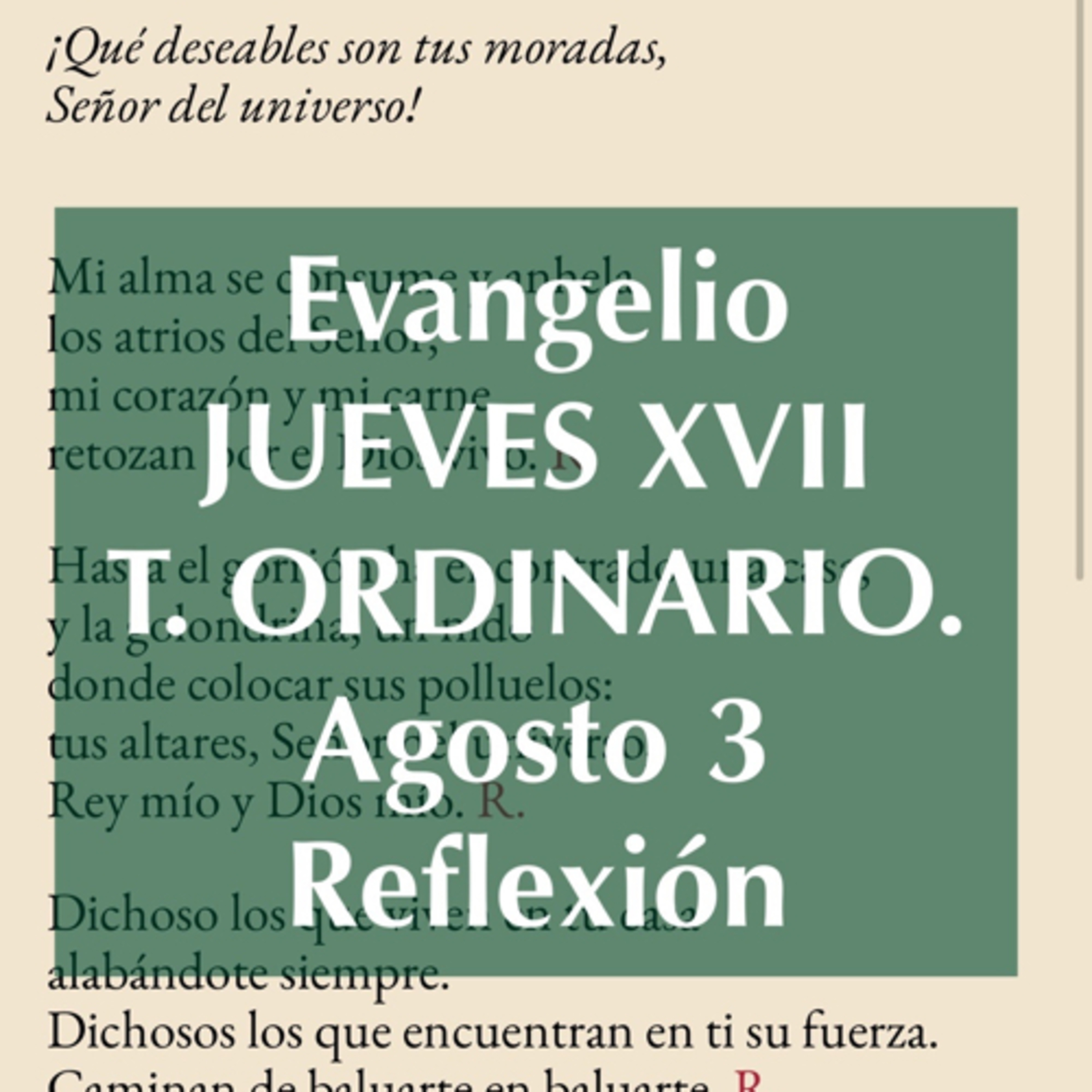 JUEVES XVII DE TIEMPO ORDINARIO. Agosto 3. Evangelio y reflexión. episode artwork