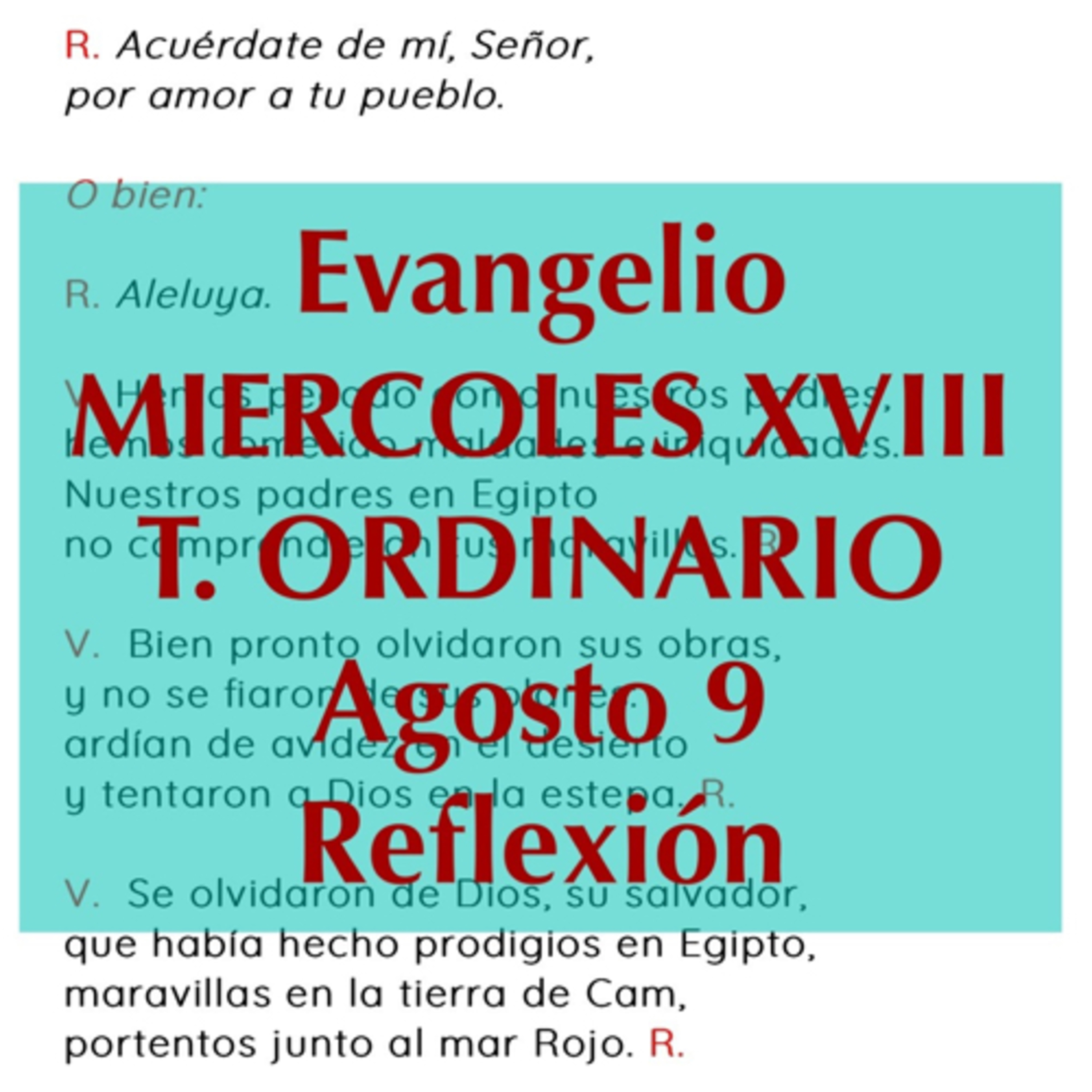MIERCOLES XVIII DE TIEMPO ORDINARIO. Agosto 9. Evangelio y reflexión. episode artwork