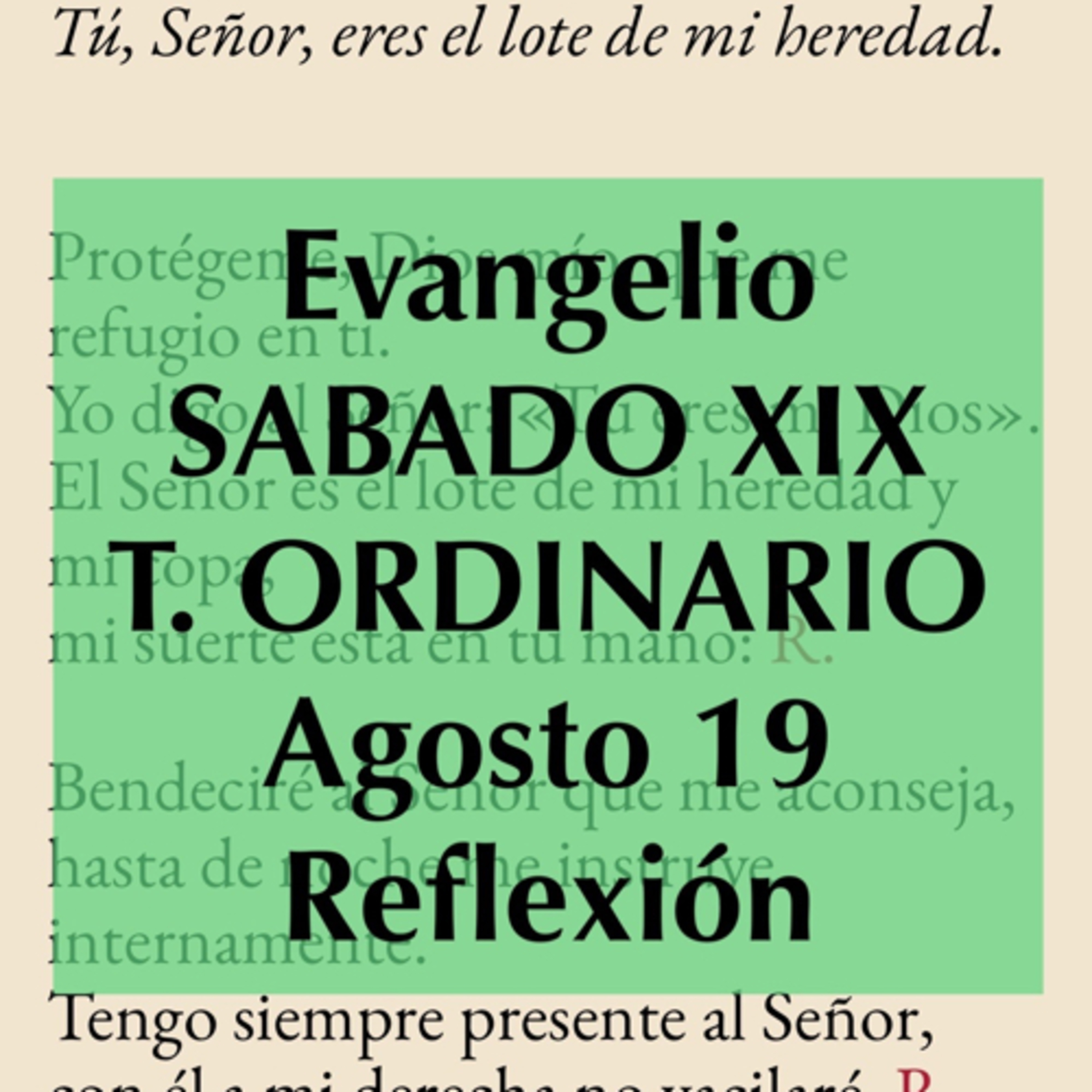 SABADO XIX DE TIEMPO ORDINARIO. Agosto 19. Evangelio y reflexión. episode artwork