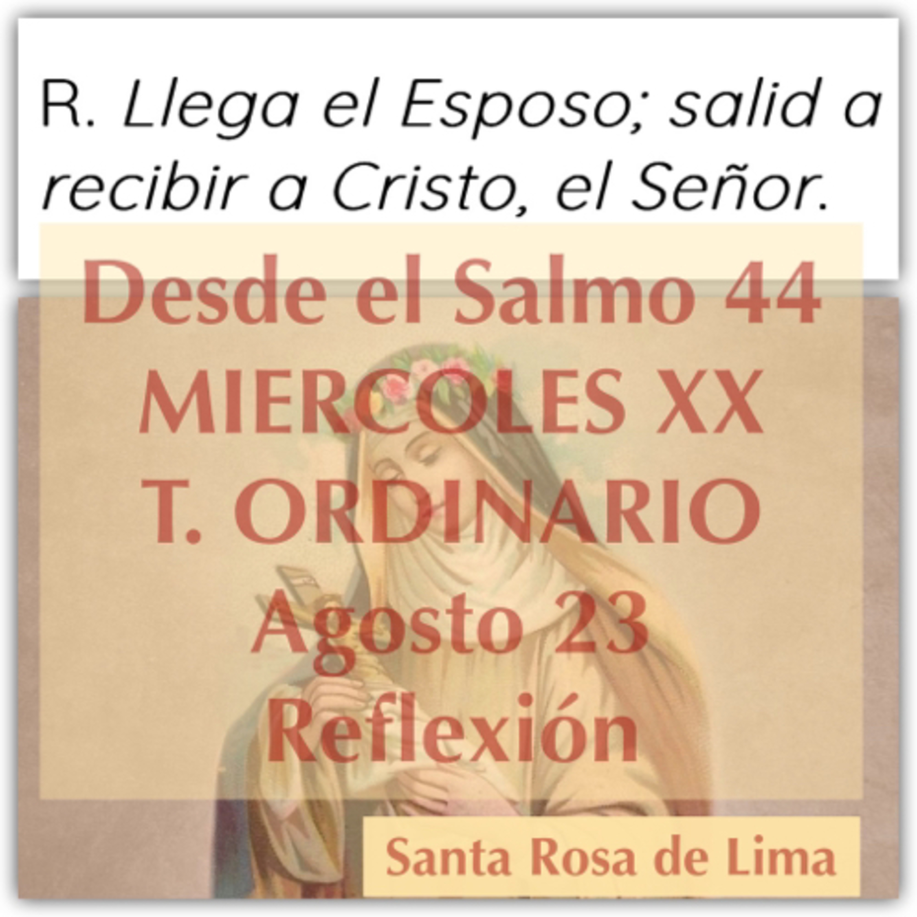 MIERCOLES XX DE TIEMPO ORDINARIO. Agosto 23. Evangelio y reflexión. episode artwork