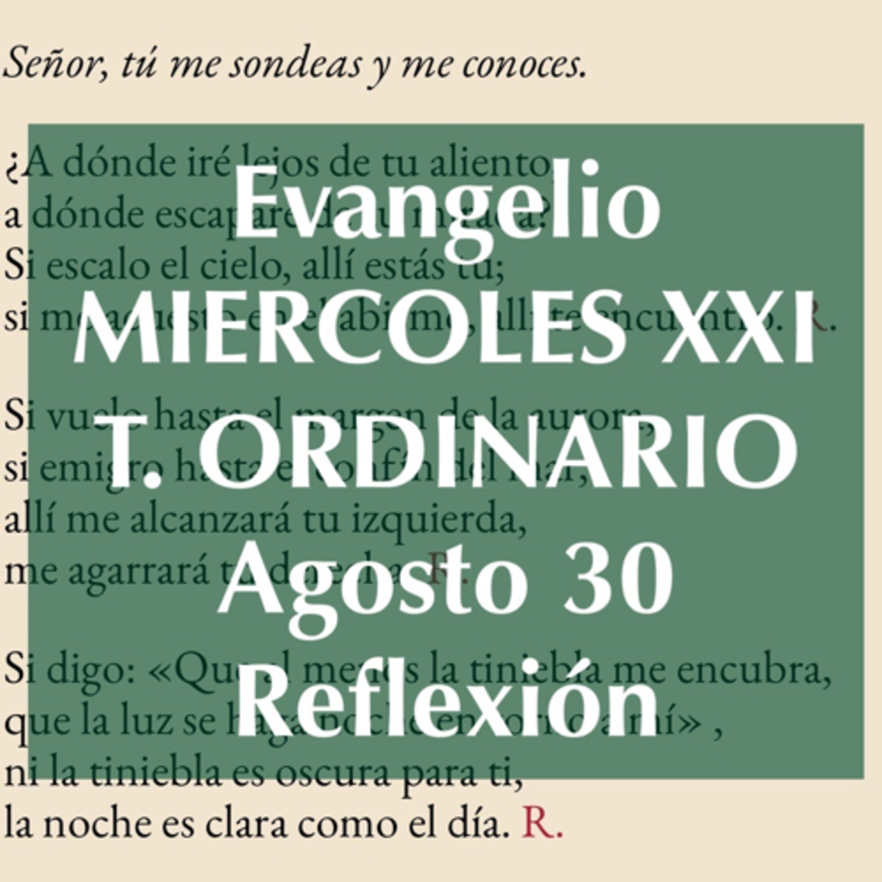 MIERCOLES XXI DE TIEMPO ORDINARIO. Agosto 30. Evangelio y reflexión episode artwork