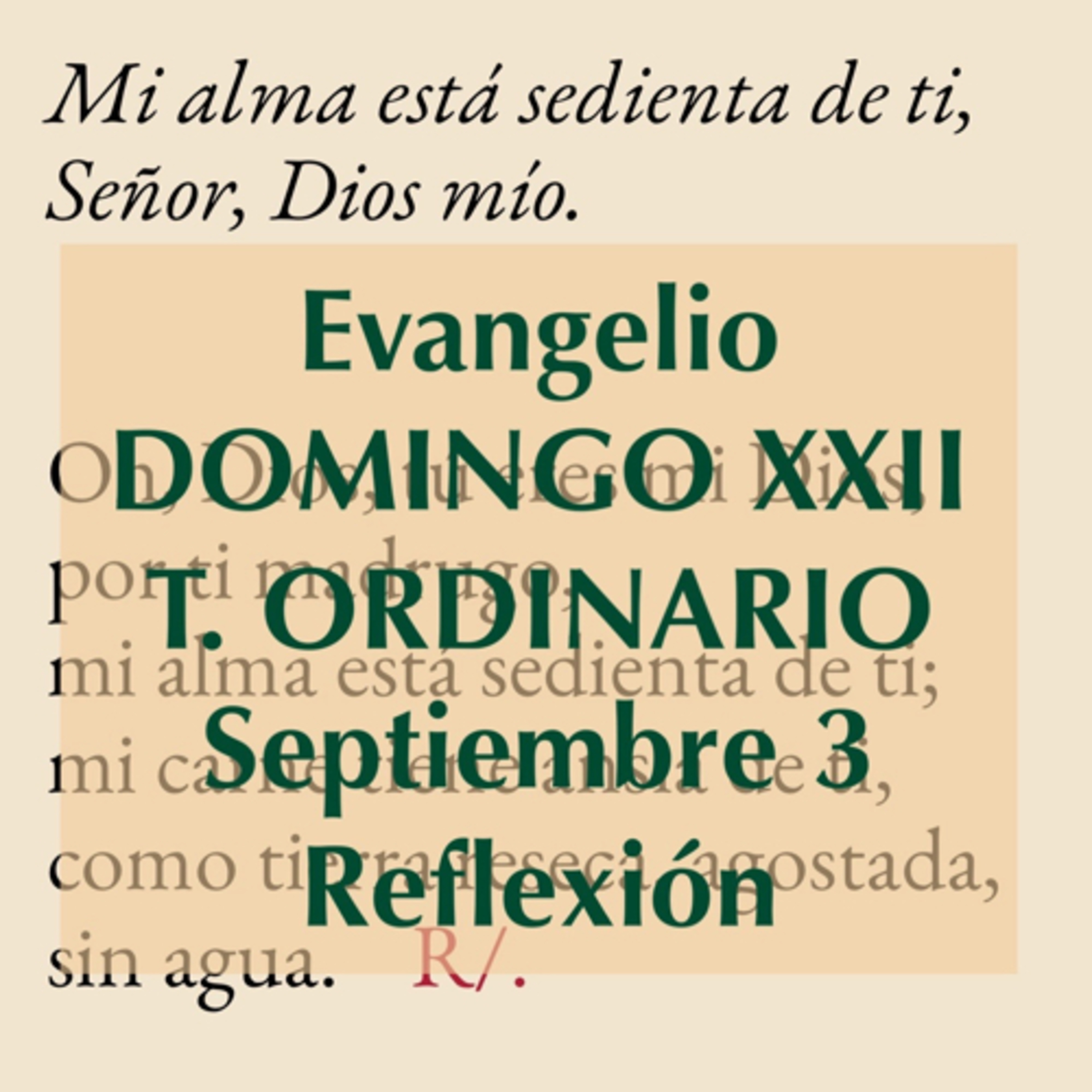 DOMINGO XXII DE TIEMPO ORDINARIO. Septiembre 3. Evangelio y reflexión. episode artwork