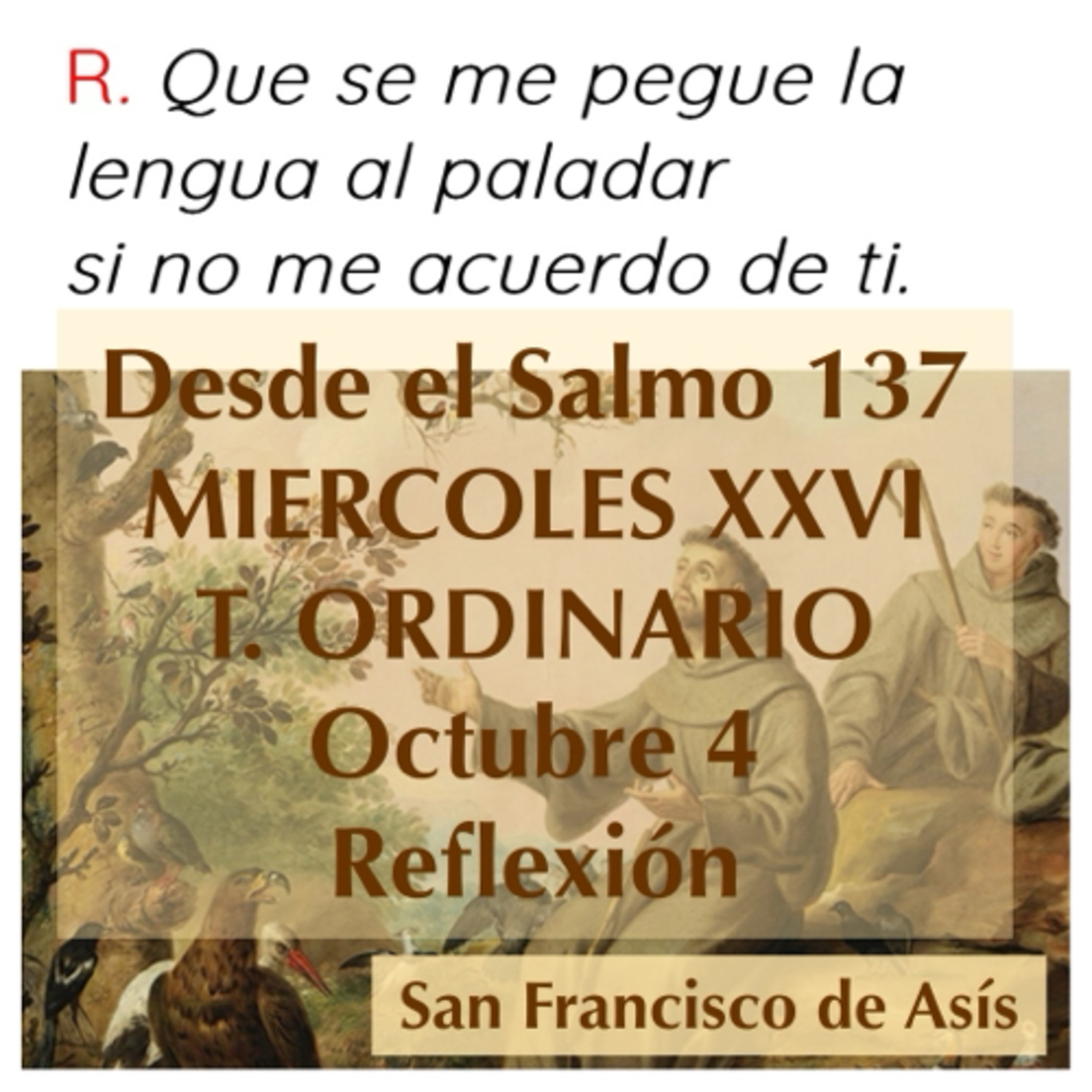 MIERCOLES XXVI DE TIEMPO ORDINARIO. Octubre 4. Evangelio y reflexión. SAN FRANCISCO DE ASIS. episode artwork