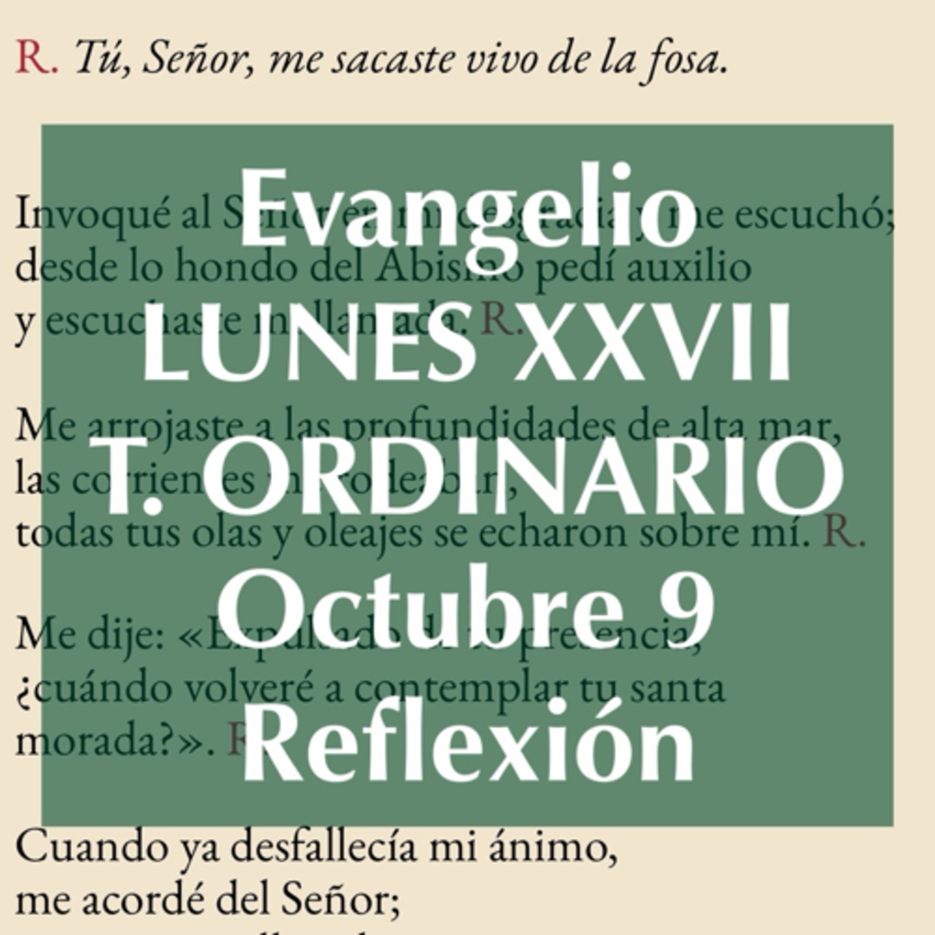 LUNES XXVII DE TIEMPO ORDINARIO. Octubre 9. Evangelio y reflexión. episode artwork