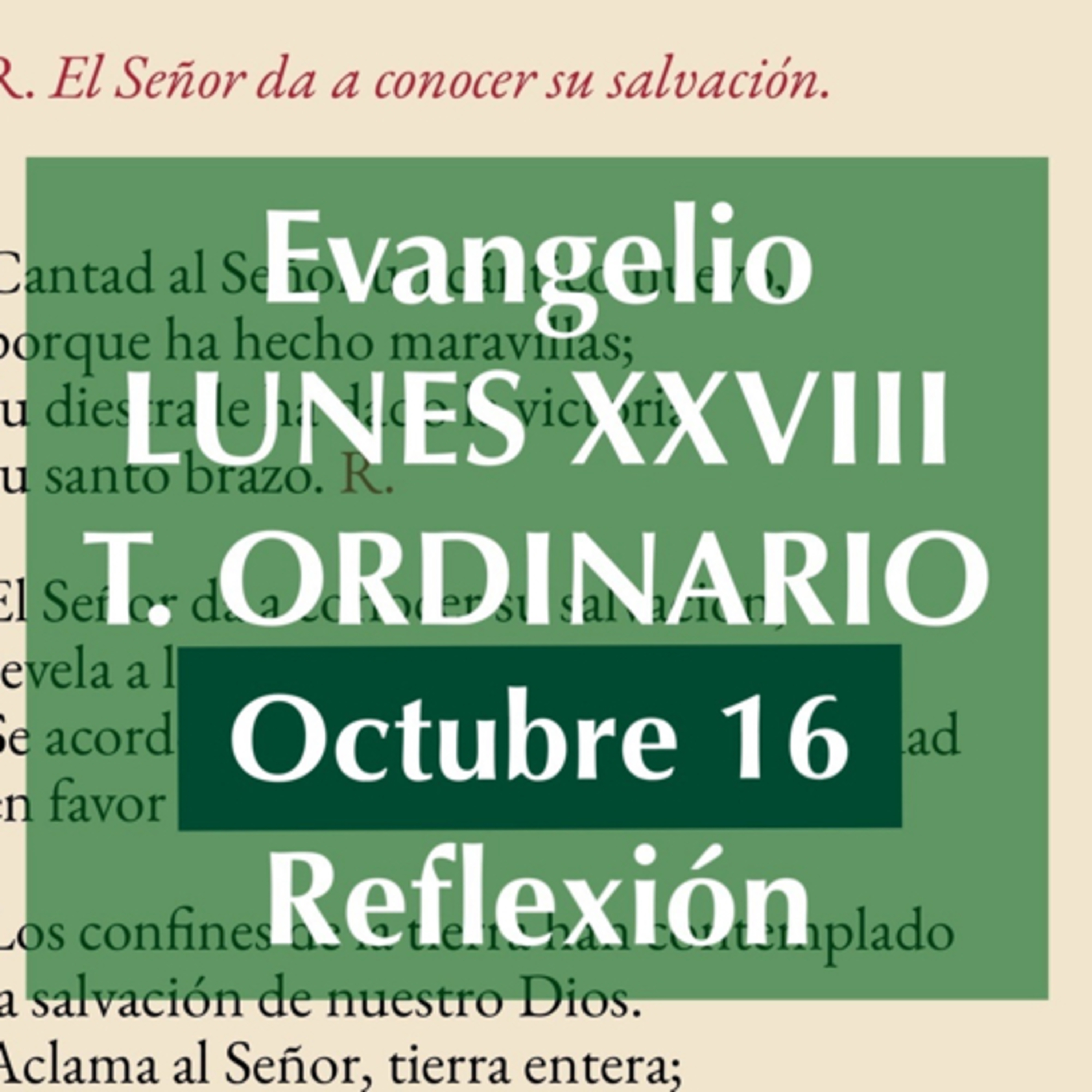 LUNES XXVIII DE TIEMPO ORDINARIO. Octubre 16. Evangelio y reflexión. episode artwork