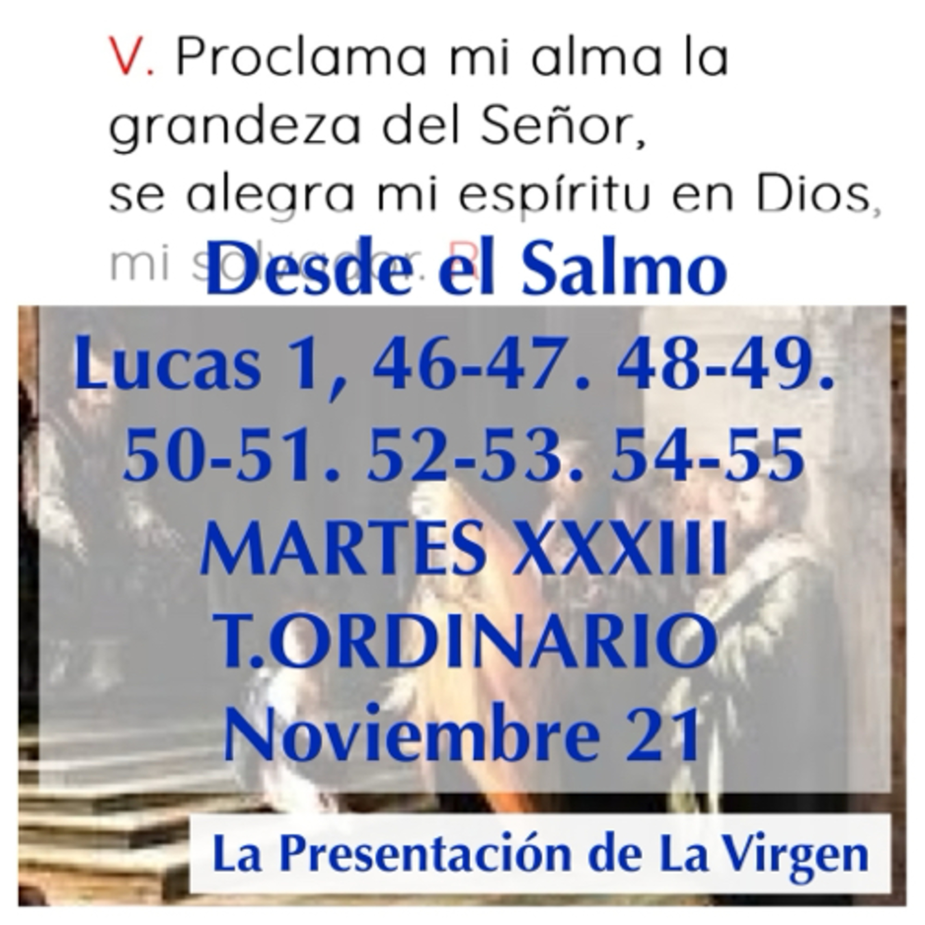 MARTES XXXIII DE TIEMPO ORDINARIO. Nov. 23. Evangelio y reflexión. LA PRESENTACIÓN DE LA VIRGEN. episode artwork