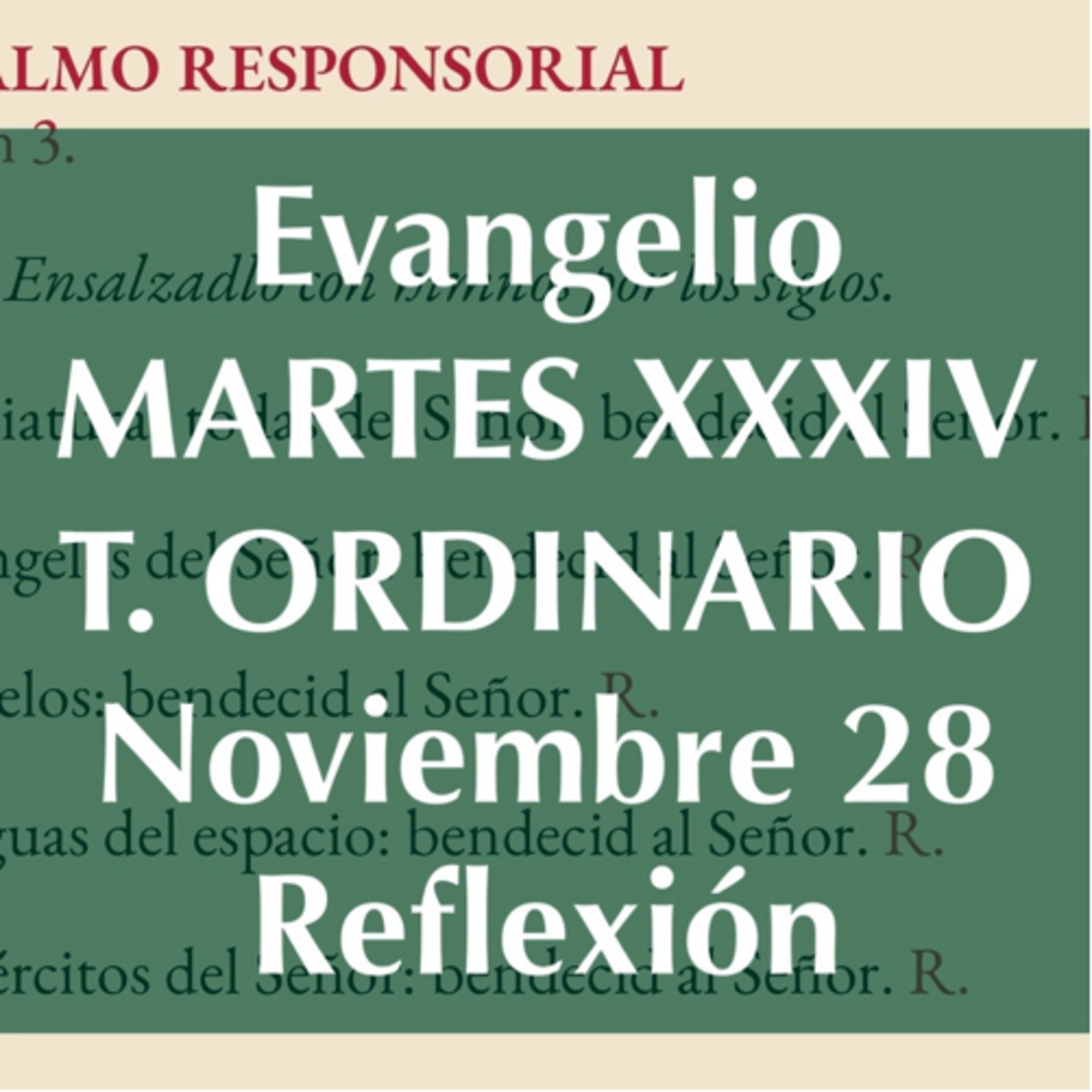 MARTES XXXIV DE TIEMPO ORDINARIO. Noviembre 28. Evangelio y reflexión. episode artwork