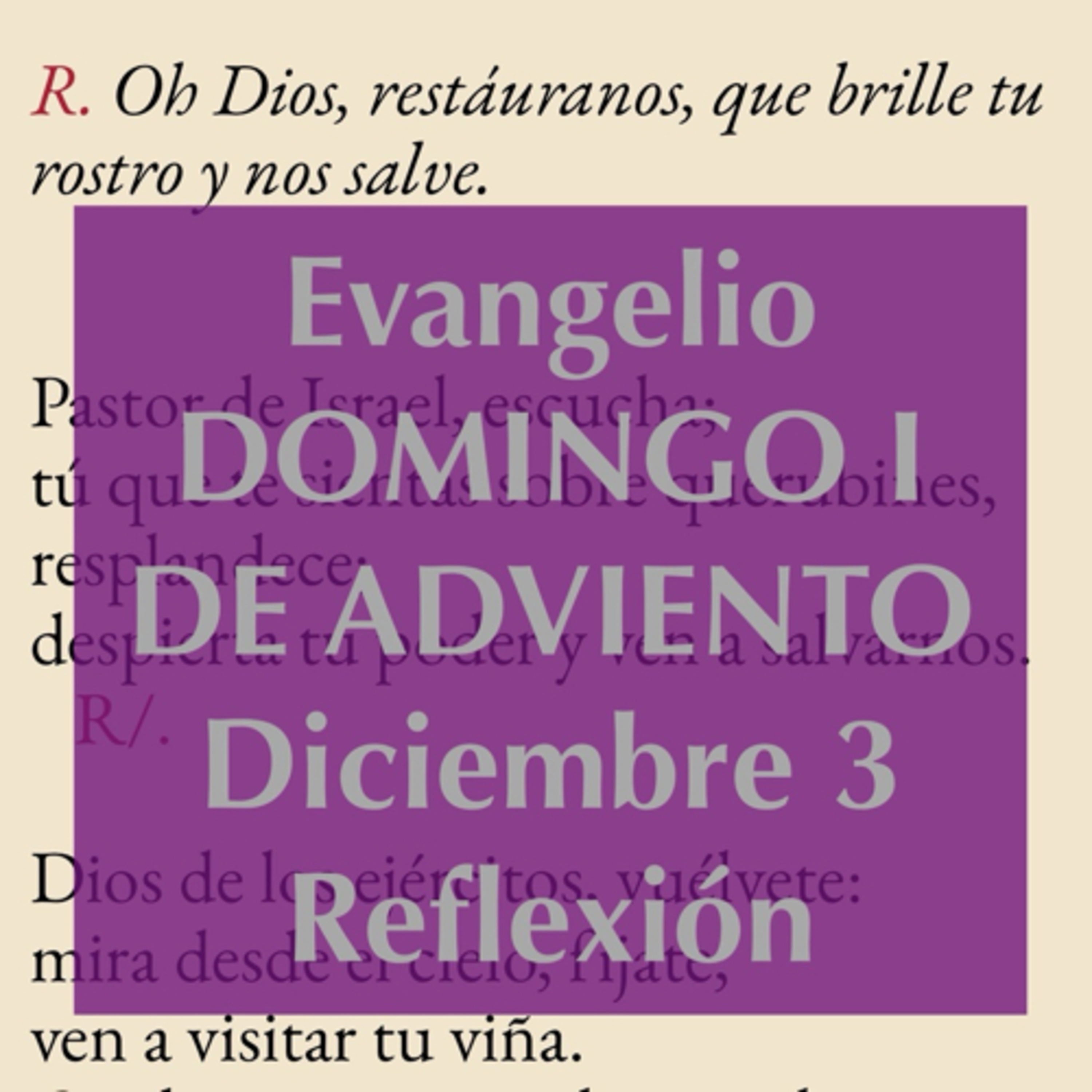 DOMINGO I DE ADVIENTO. Diciembre 3. Evangelio y reflexión. episode artwork