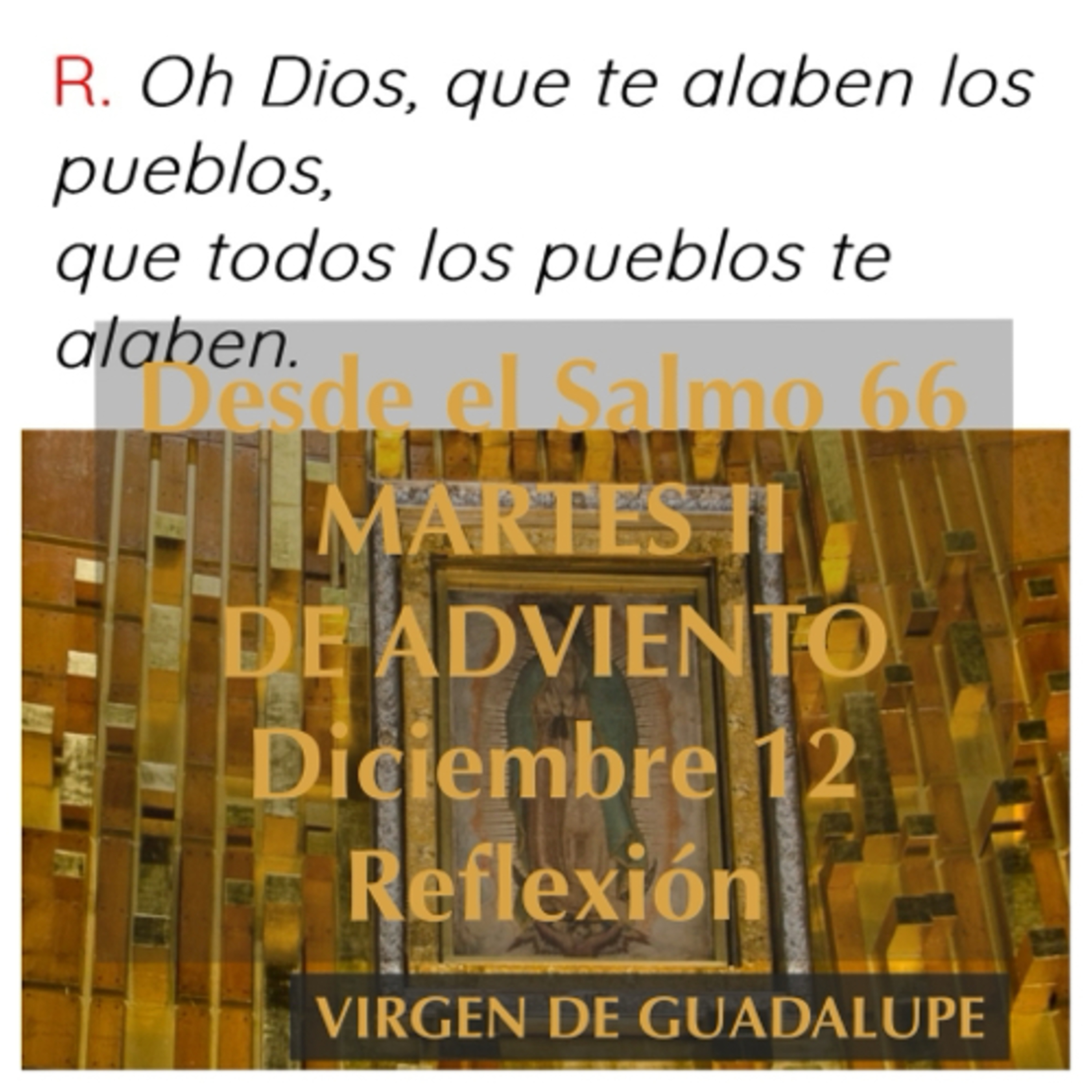 MARTES II DE ADVIENTO. Diciembre 12. Evangelio y reflexión. VIRGEN DE GUADALUPE. episode artwork