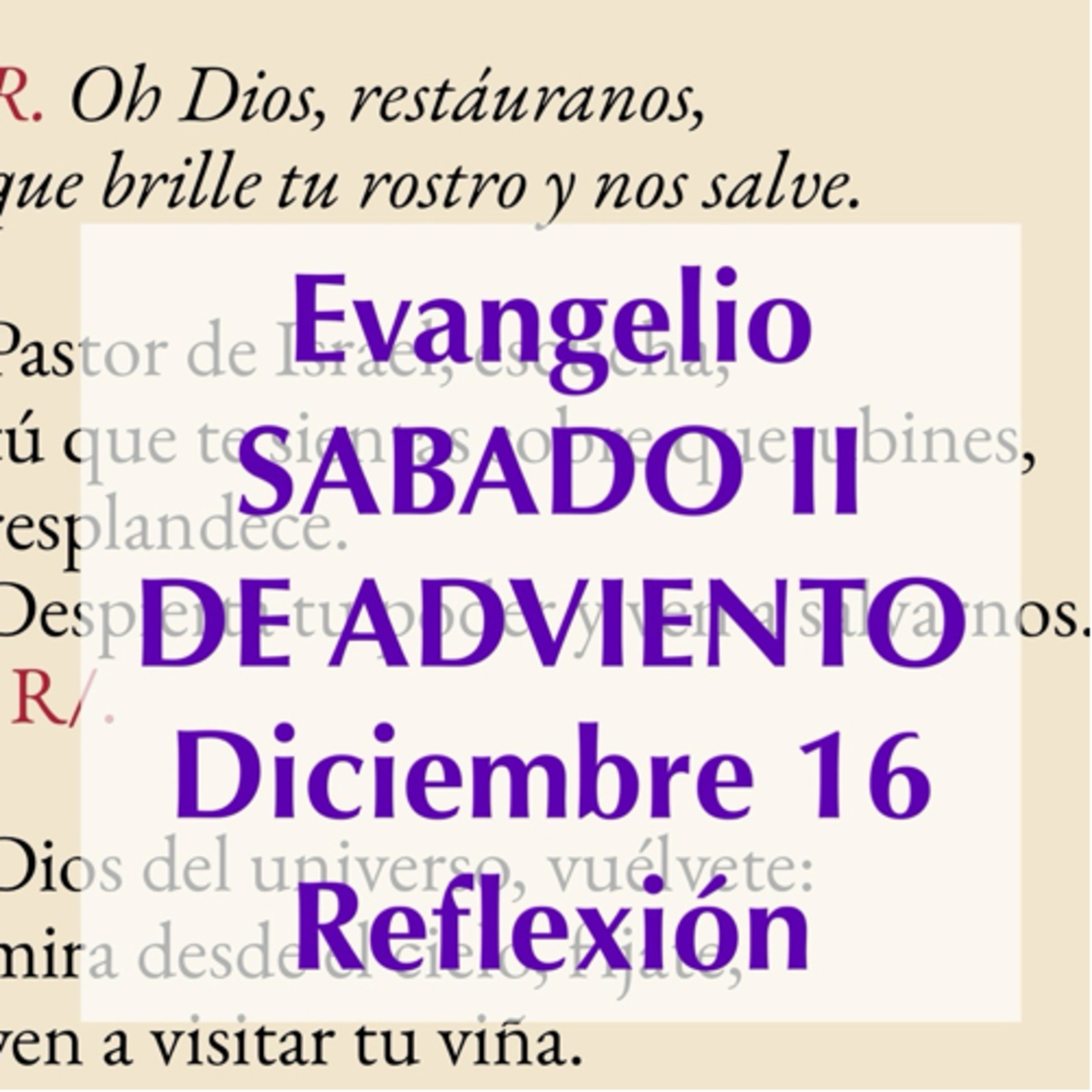 SABADO II DE ADVIENTO. Diciembre 16. Evangelio y reflexión. episode artwork