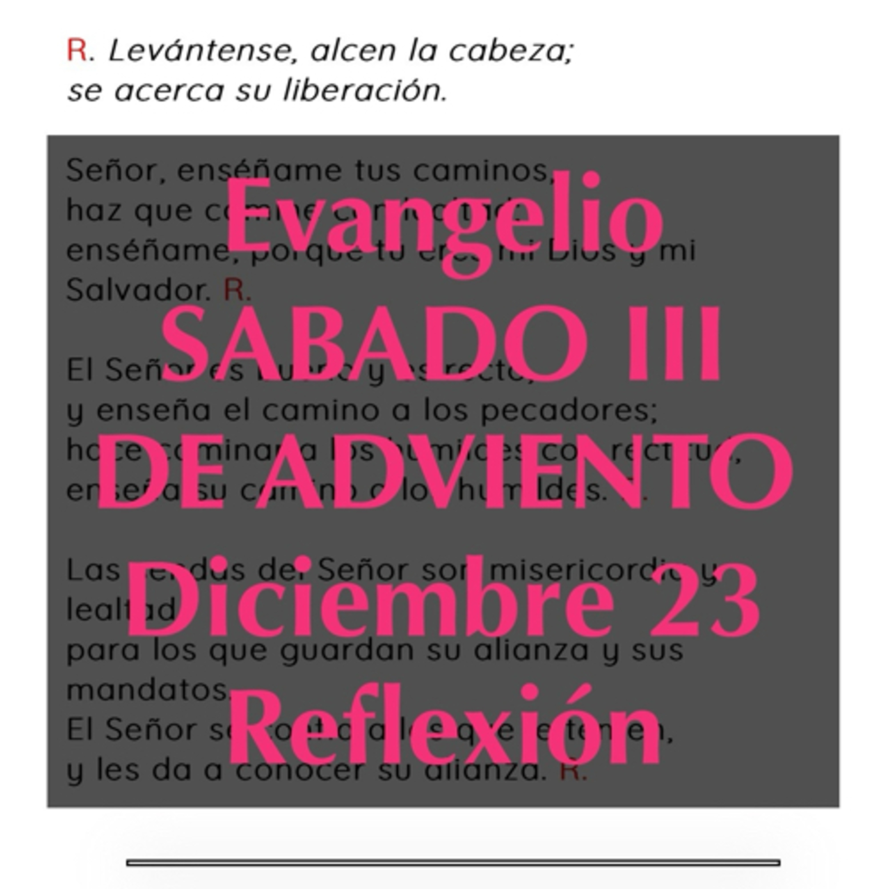 SABADO III DE ADVIENTO. Diciembre 23. Evangelio y reflexión. episode artwork