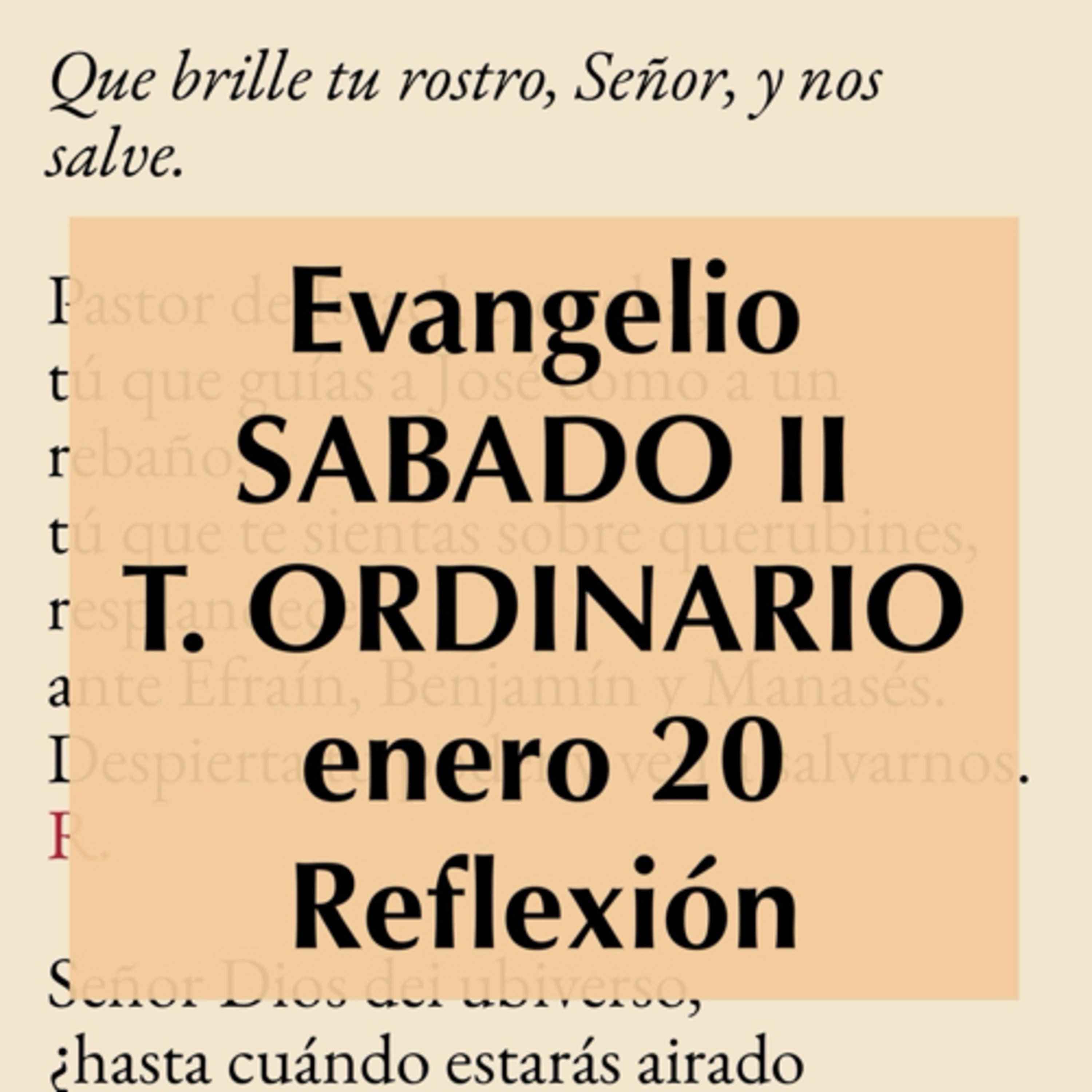 SABADO II DE TIEMPO ORDINARIO. Enero 20. Evangelio y reflexión. episode artwork