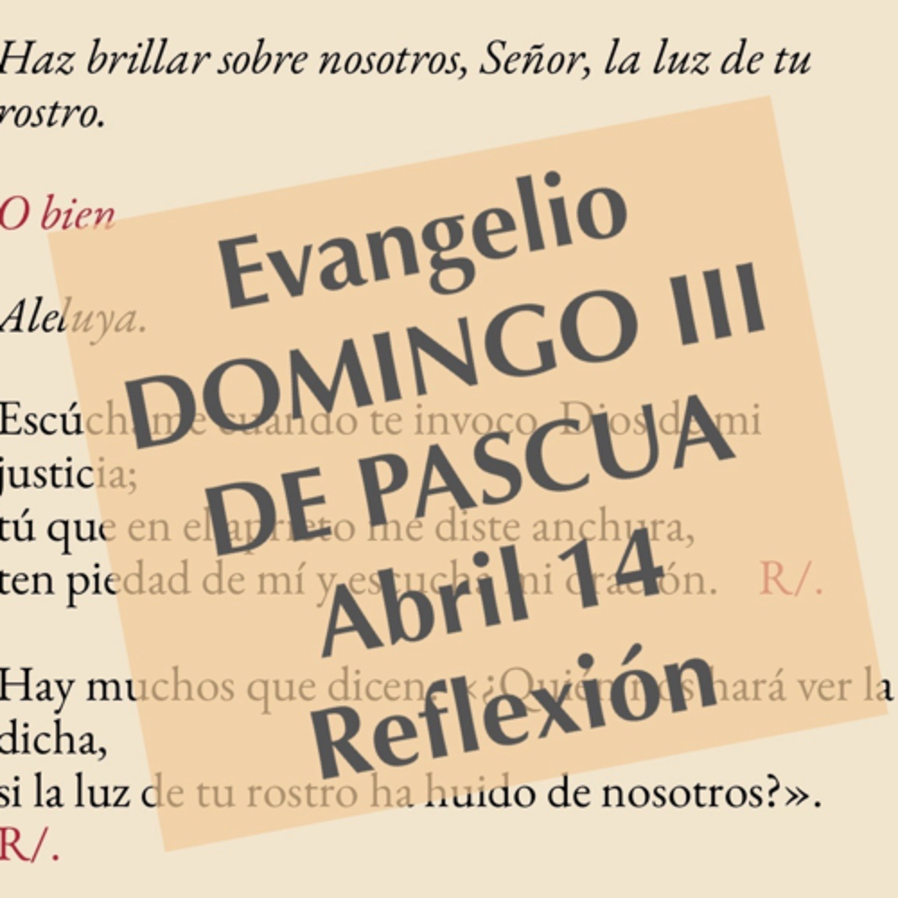 Reflexiones para orar
