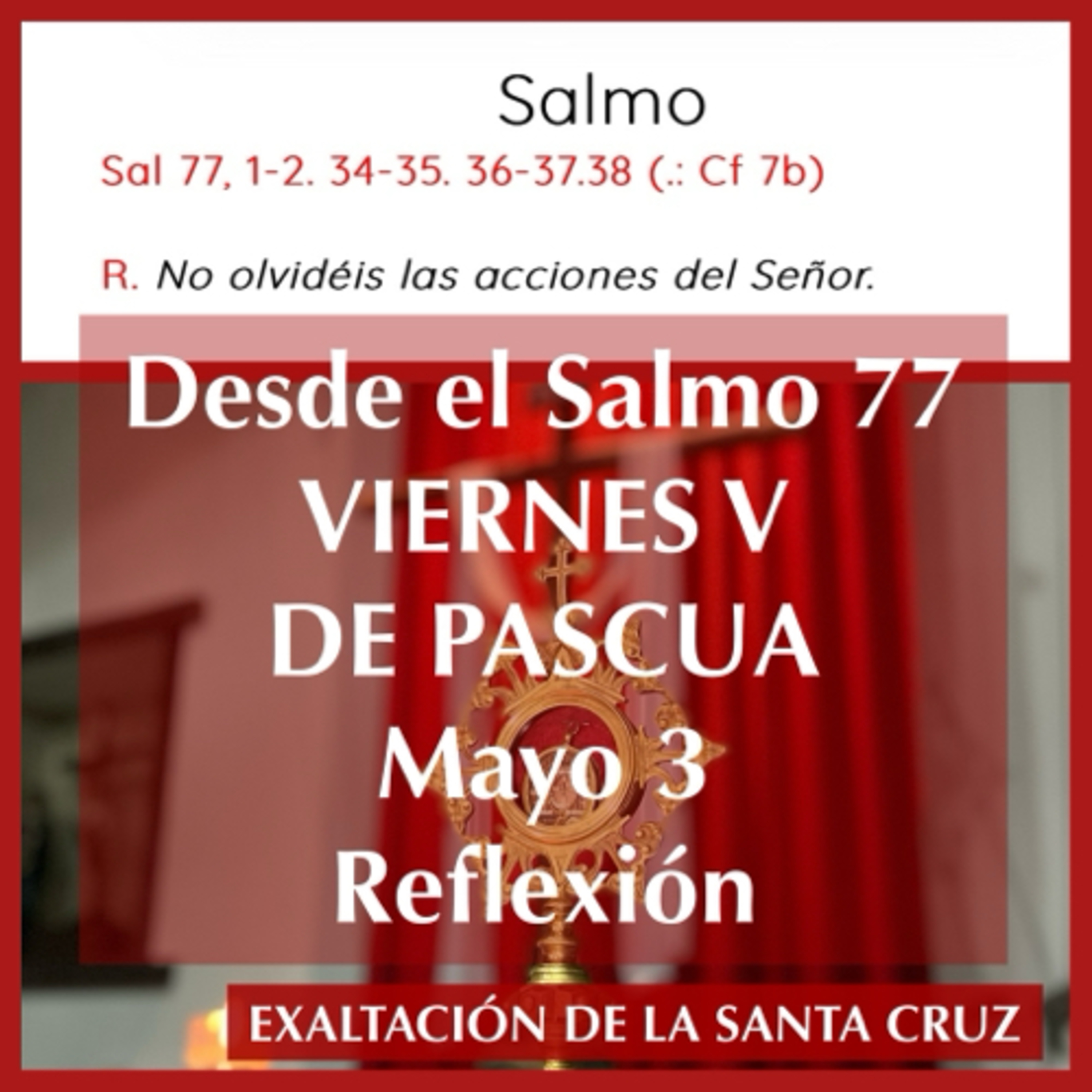 VIERNES V DE PASCUA. Mayo 3. Evangelio y reflexión. LA SANTA CRUZ. episode artwork