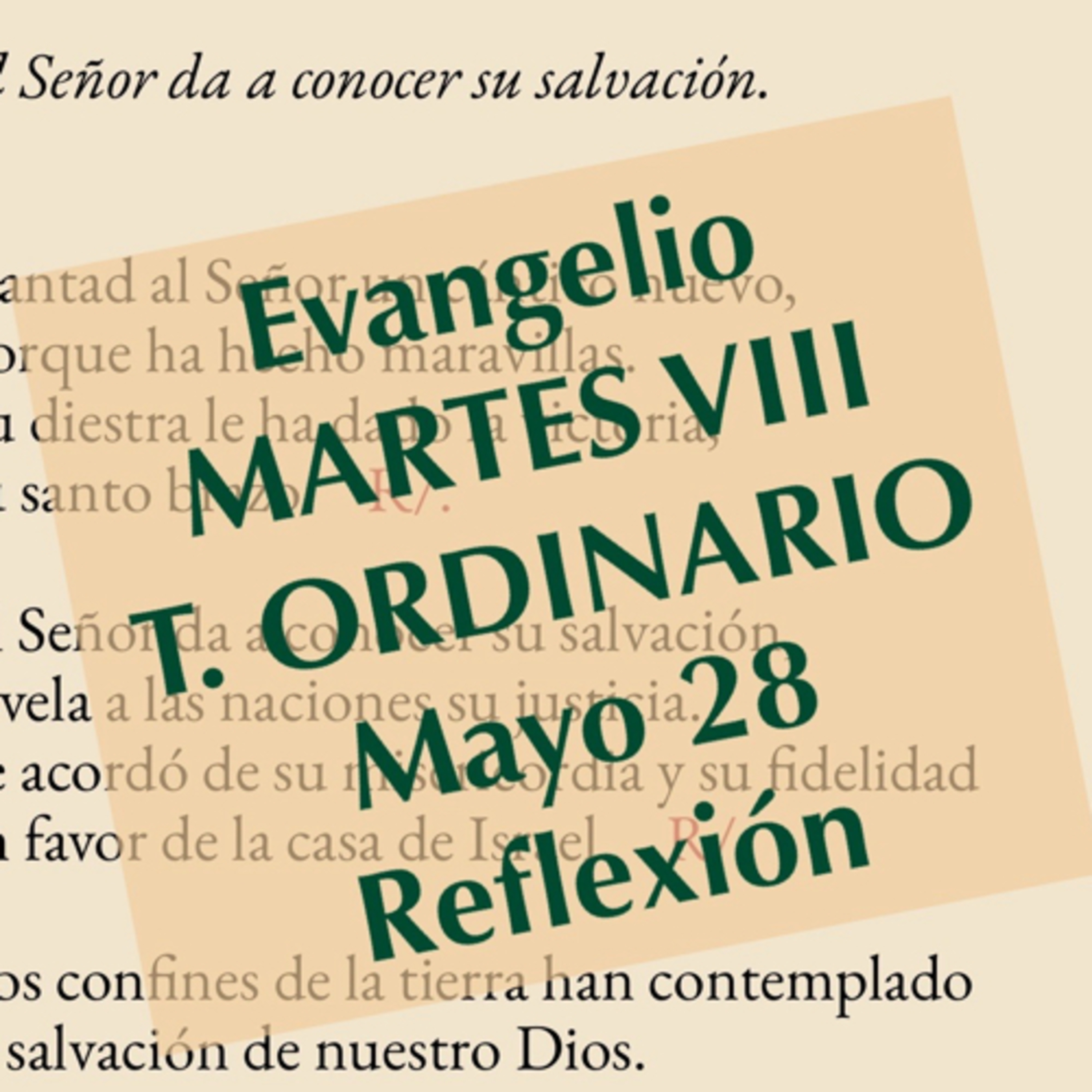 MARTES VIII DE TIEMPO ORDINARIO. Mayo 28. Evangelio y reflexión. episode artwork