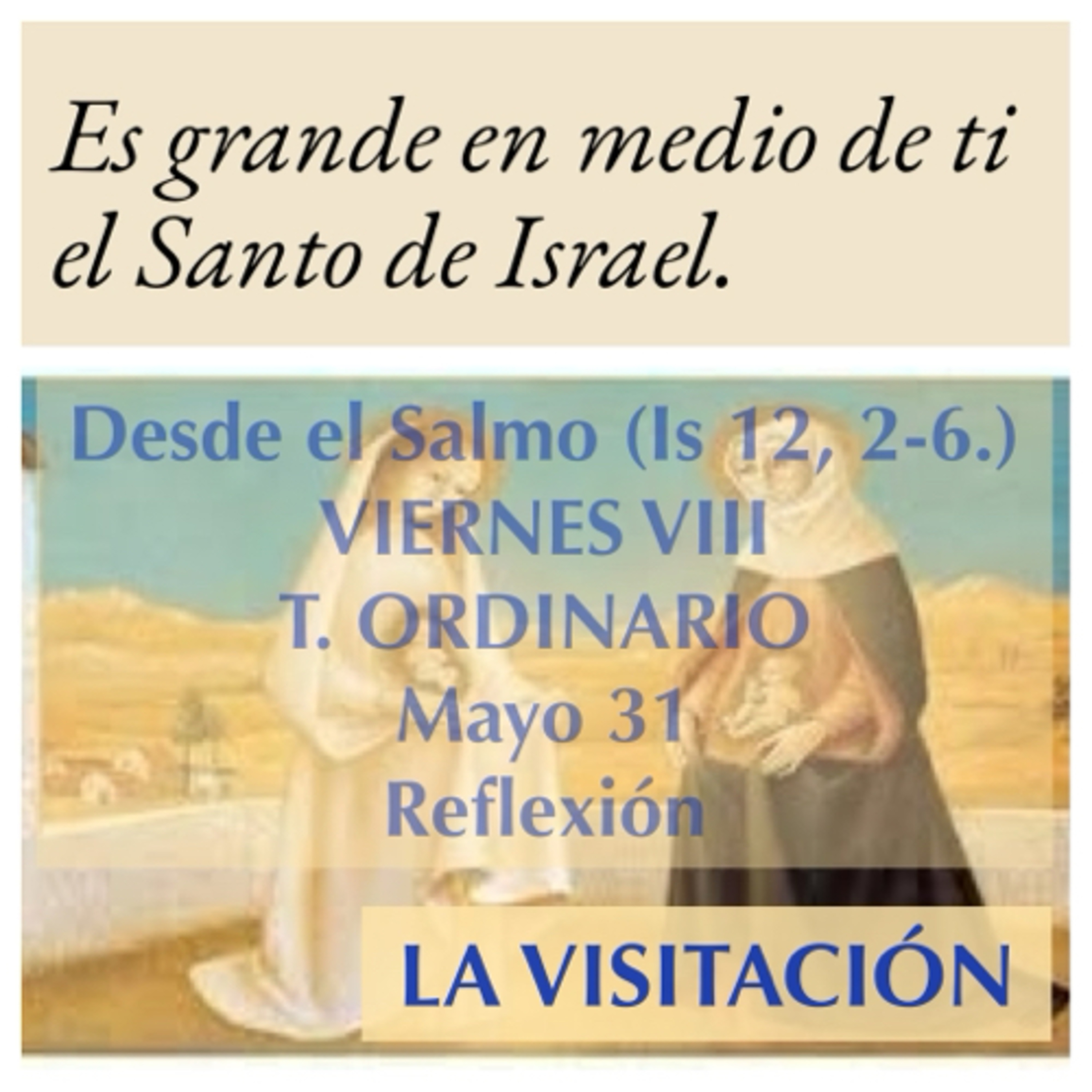 VIERNES VIII DE TIEMPO ORDINARIO. Mayo 31. Evangelio y reflexión. LA VISITACIÓN. episode artwork