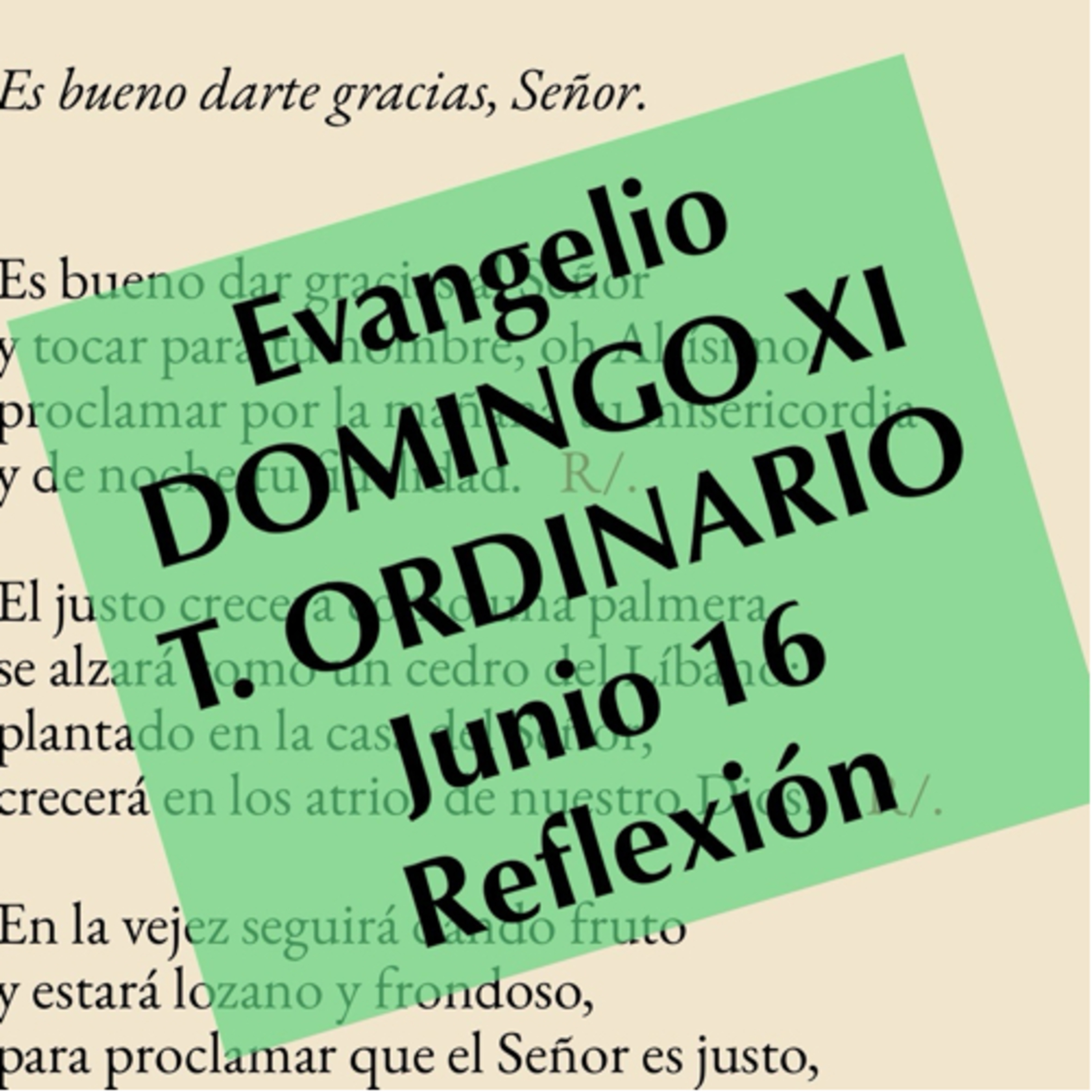 DOMINGO XI DE TIEMPO ORDINARIO. Junio 16. Evangelio y reflexión. episode artwork