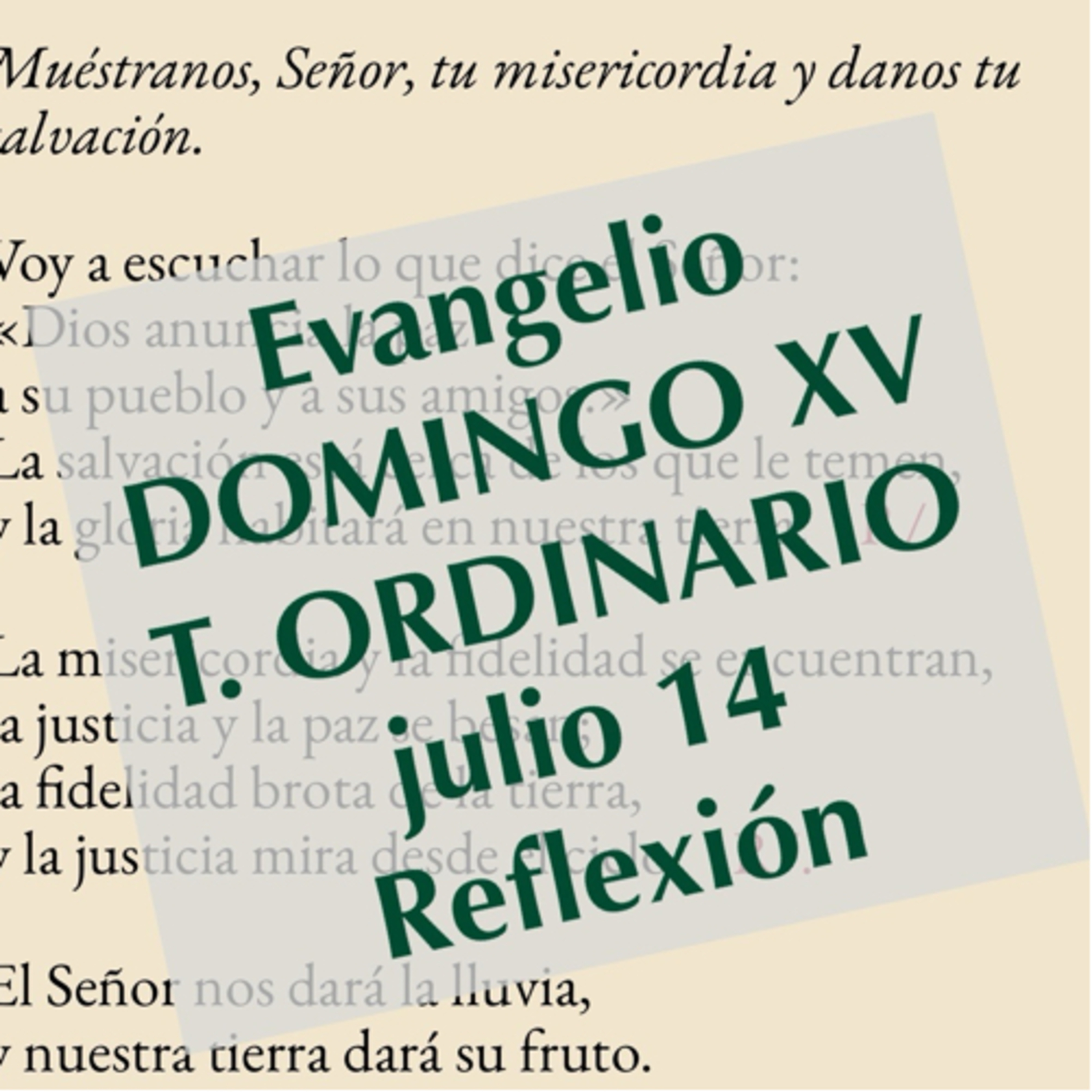 DOMINGO XV DE TIEMPO ORDINARIO. Julio 14. Evangelio y reflexión. episode artwork
