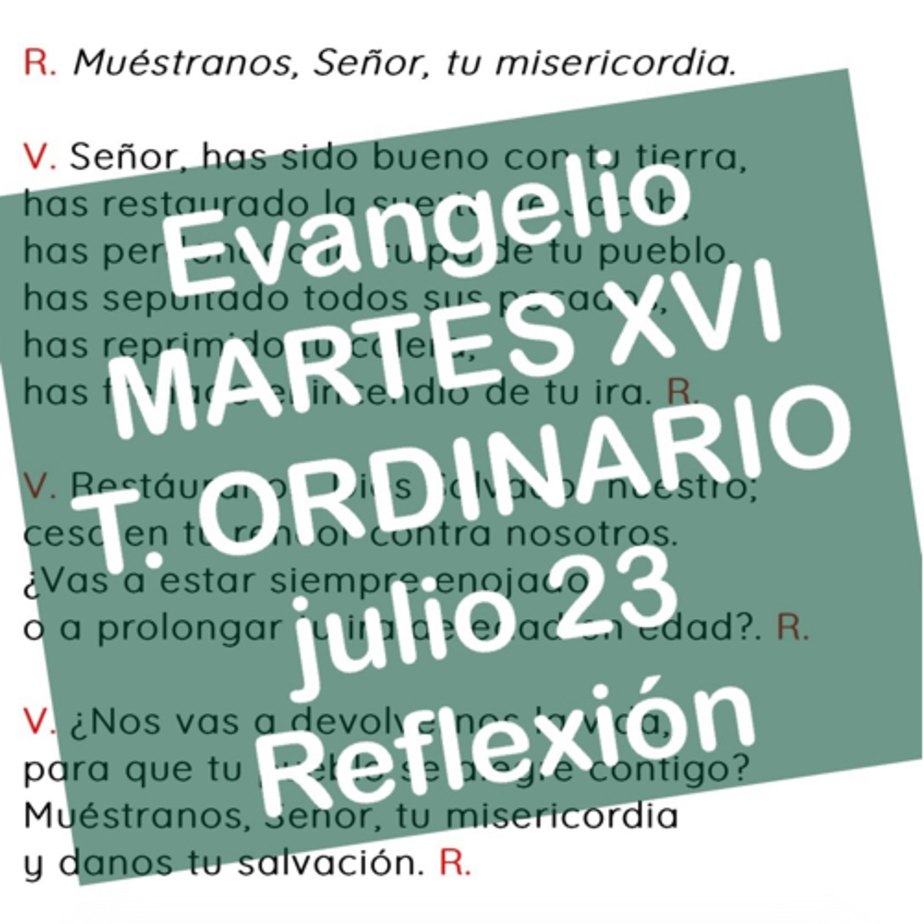 MARTES XVI DE TIEMPO ORDINARIO. Julio 23. Evangelio y reflexión. episode artwork