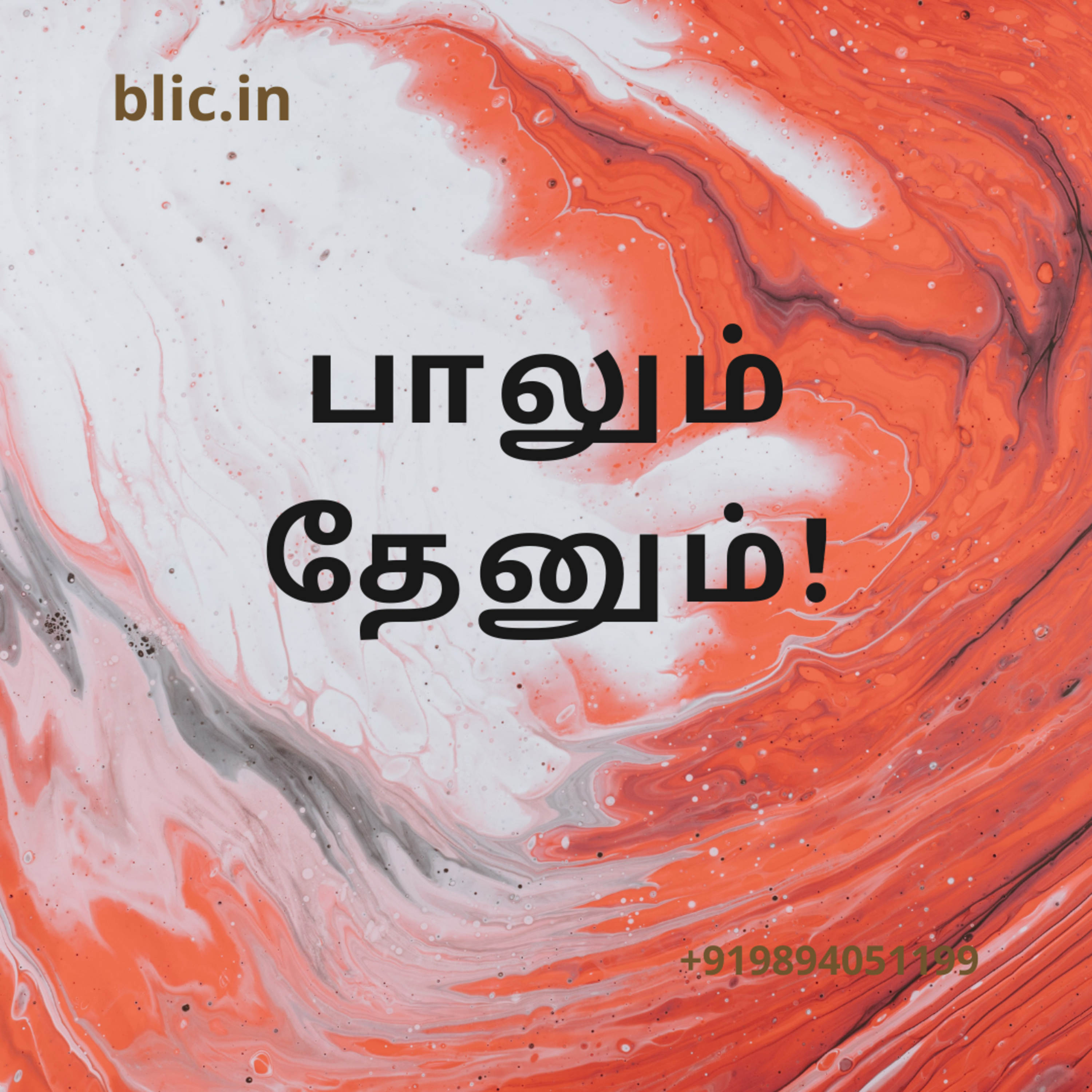 Blessed Life in Christ! (Tamil)