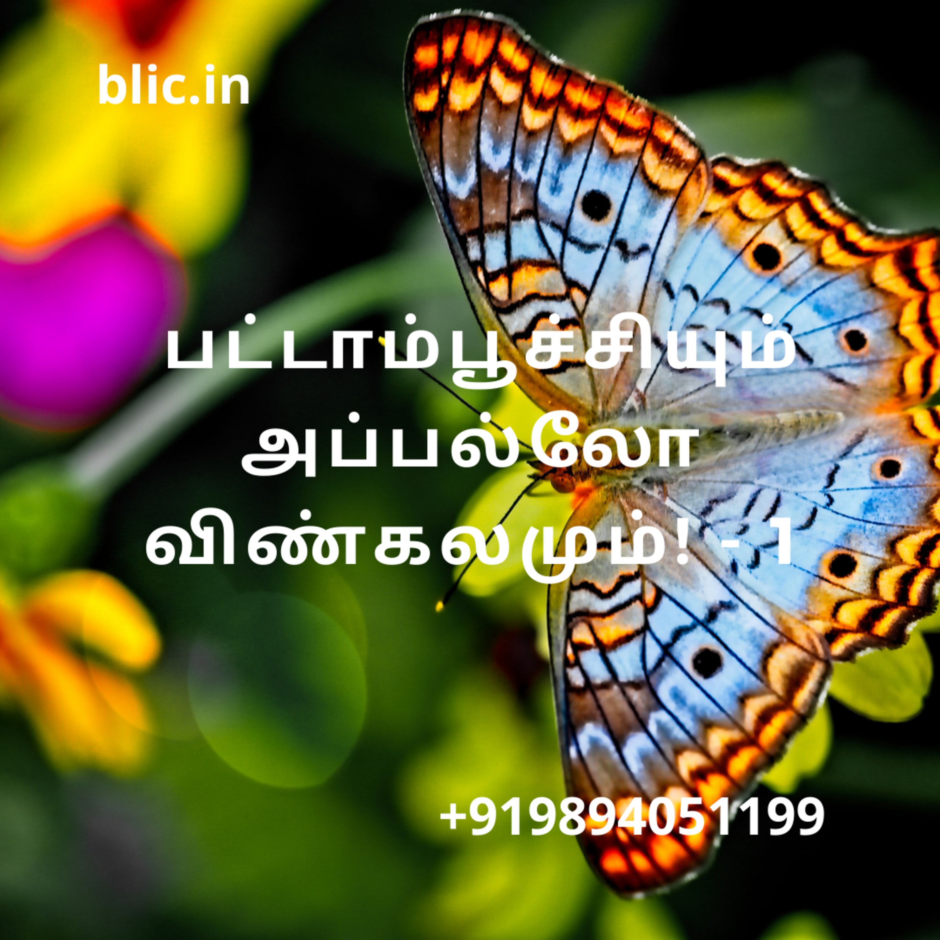 Blessed Life in Christ! (Tamil)