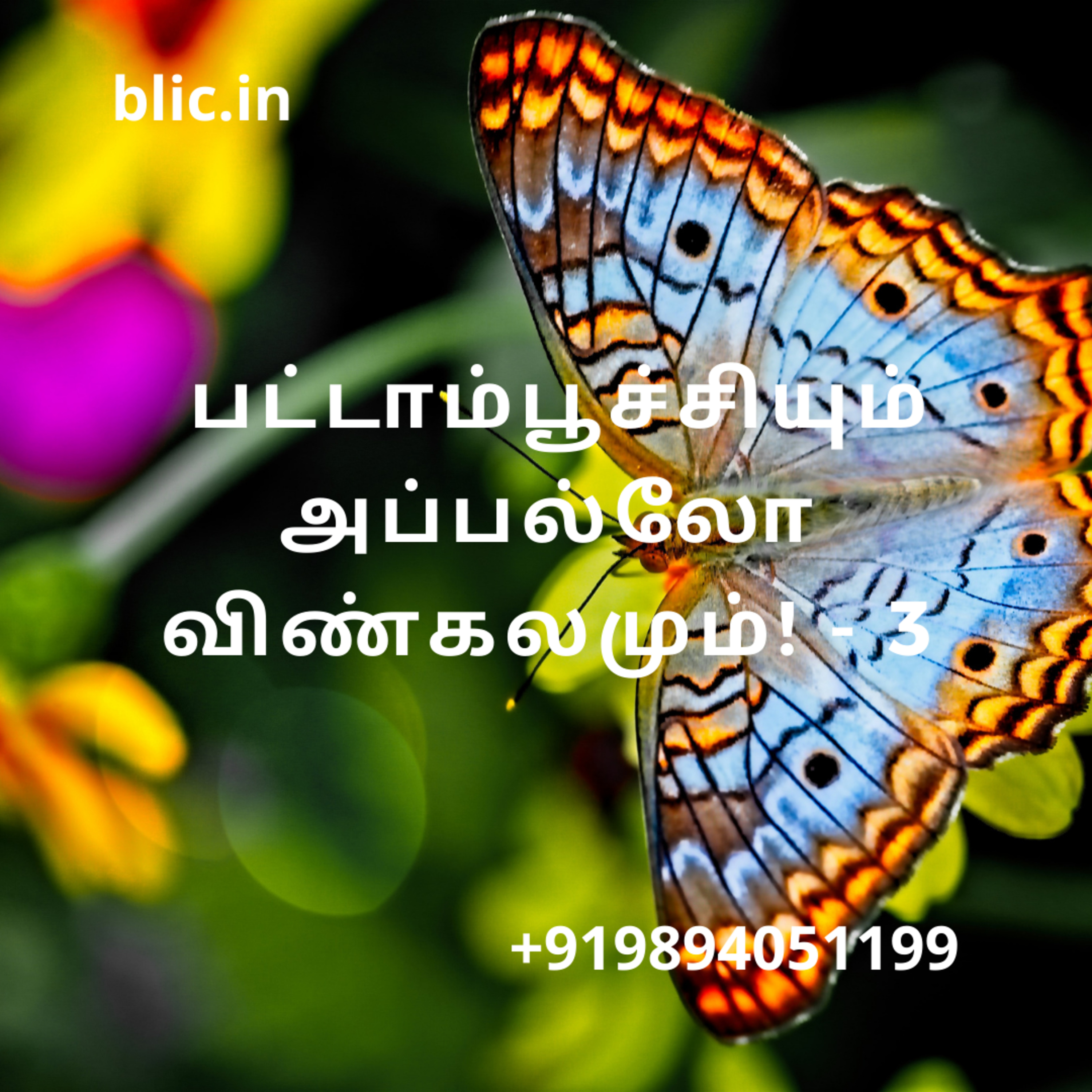 Blessed Life in Christ! (Tamil)