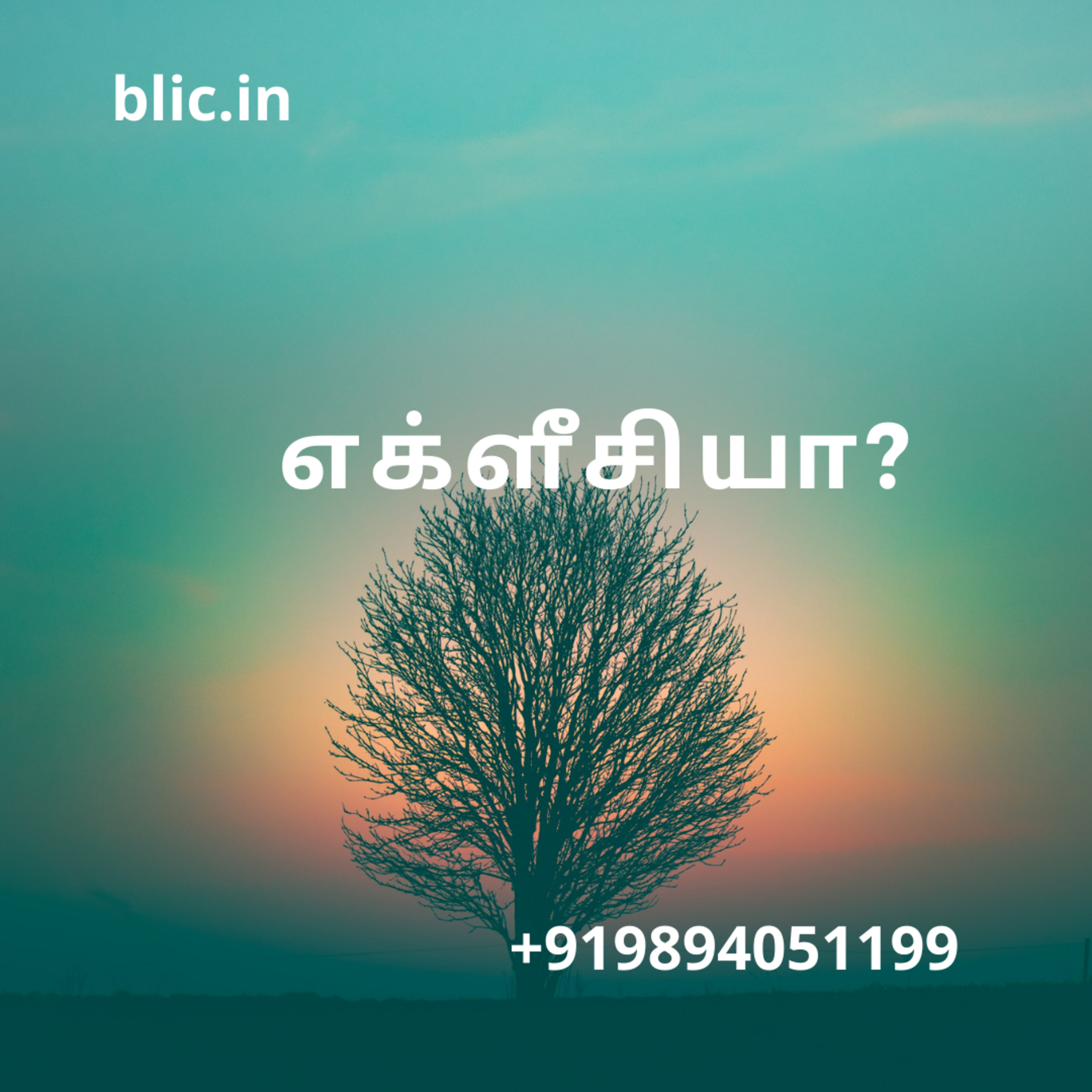 Blessed Life in Christ! (Tamil)