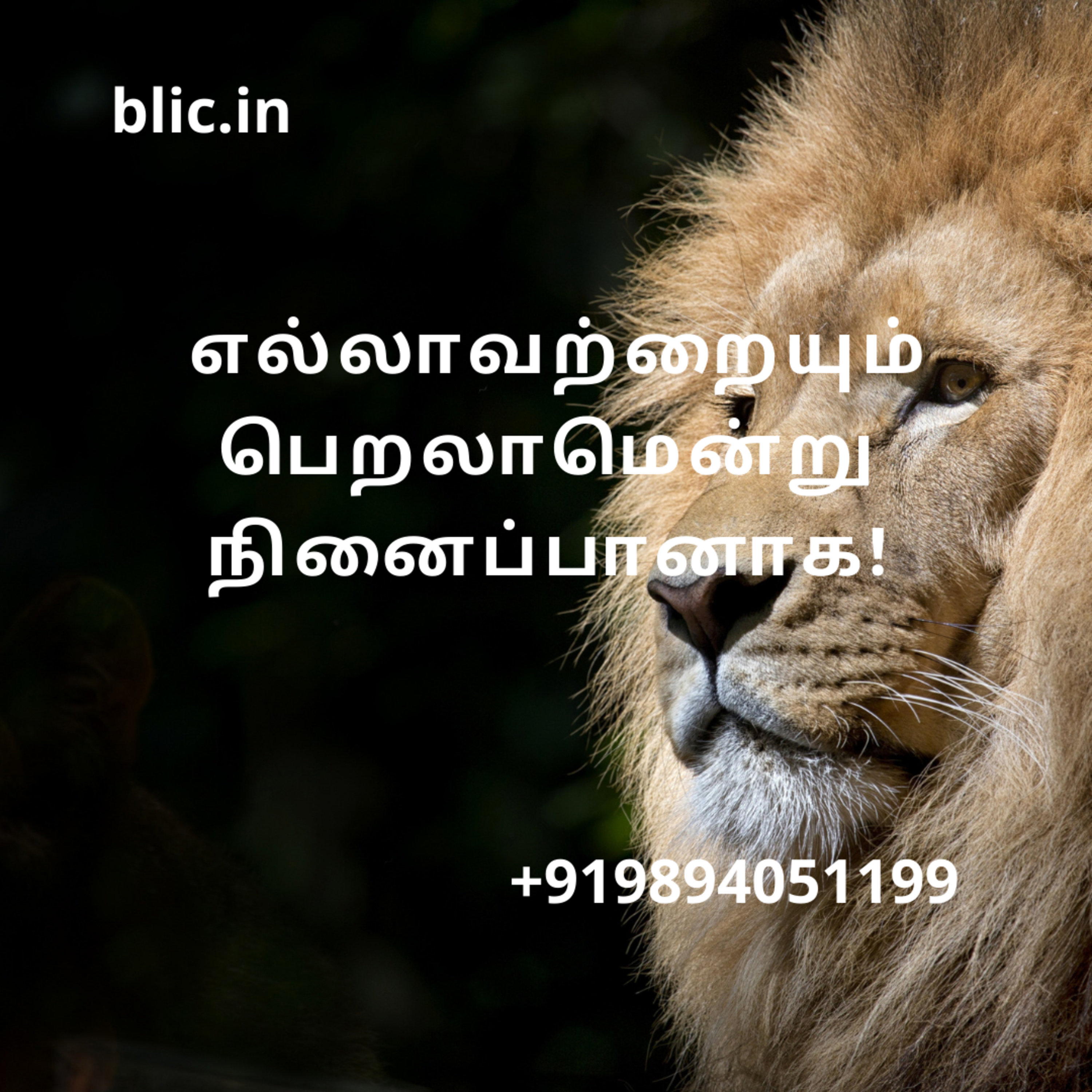 Blessed Life in Christ! (Tamil)
