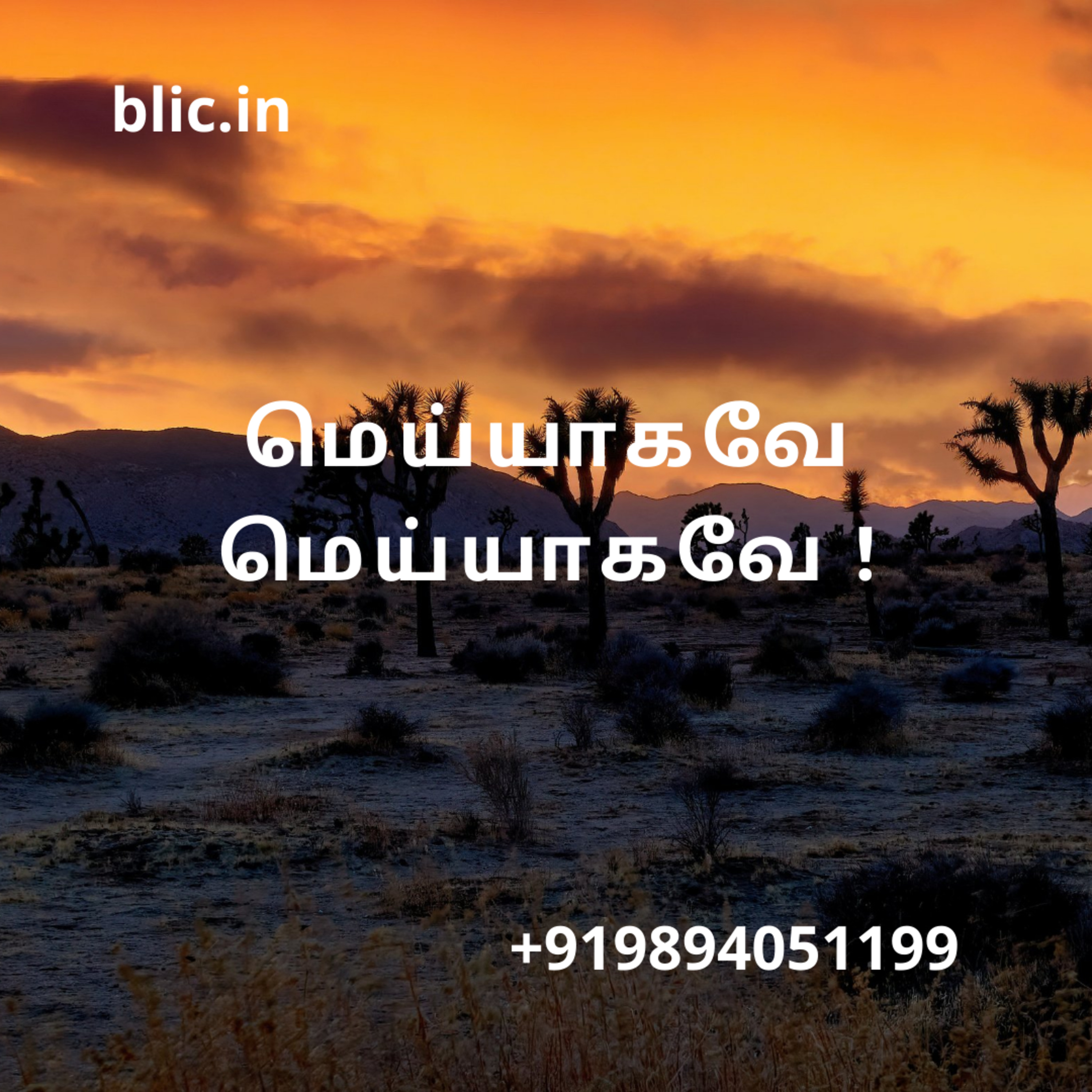Blessed Life in Christ! (Tamil)