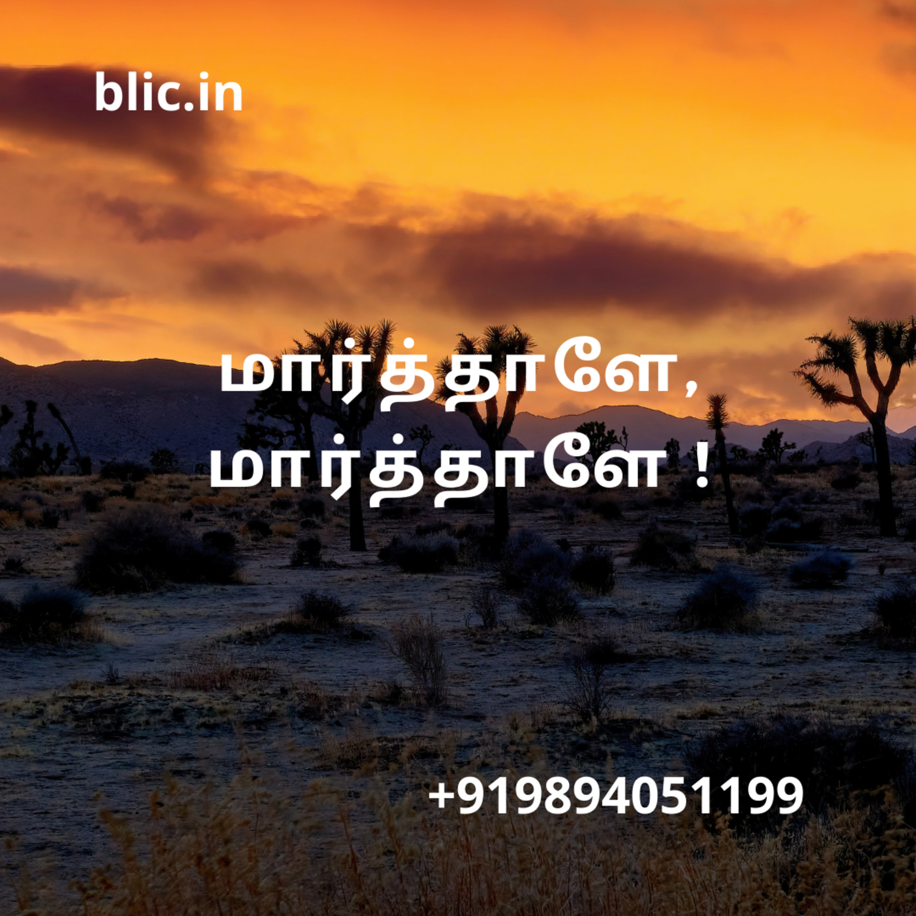 Blessed Life in Christ! (Tamil)