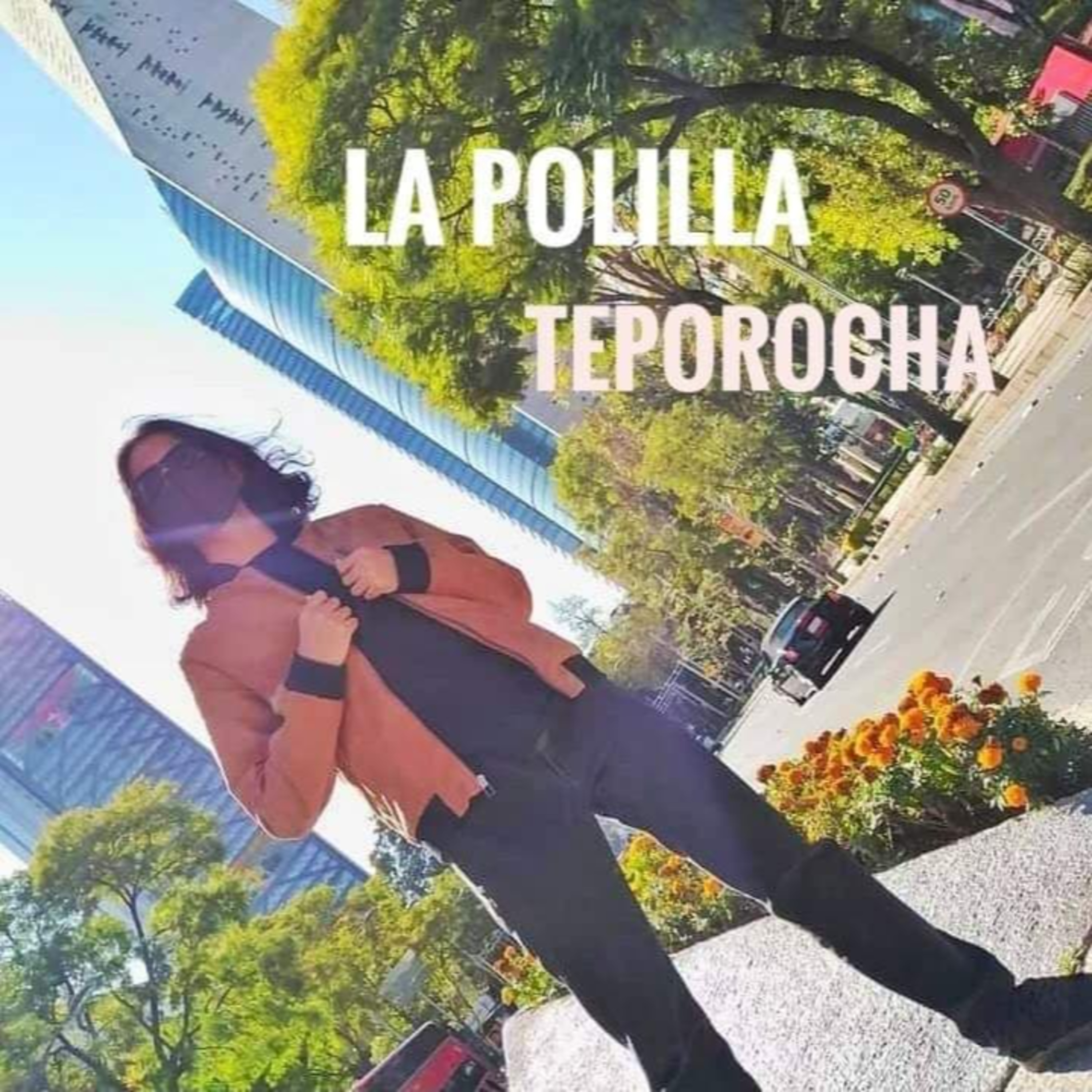 Las Polillas Teporochas