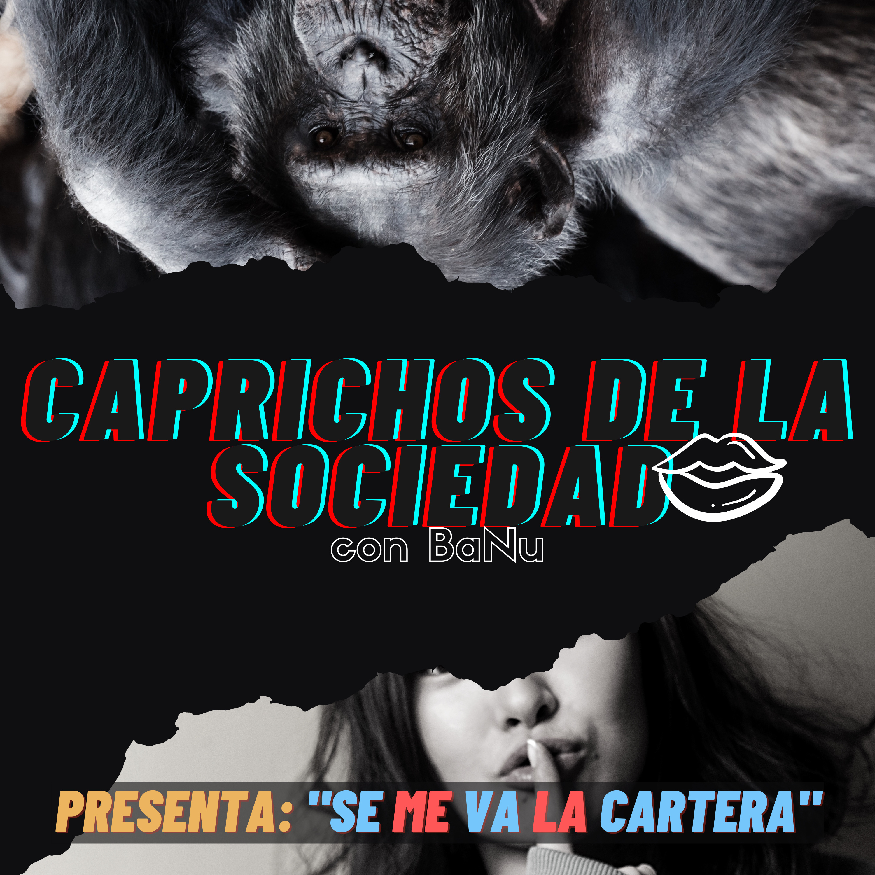 CAPRICHOS DE LA SOCIEDAD