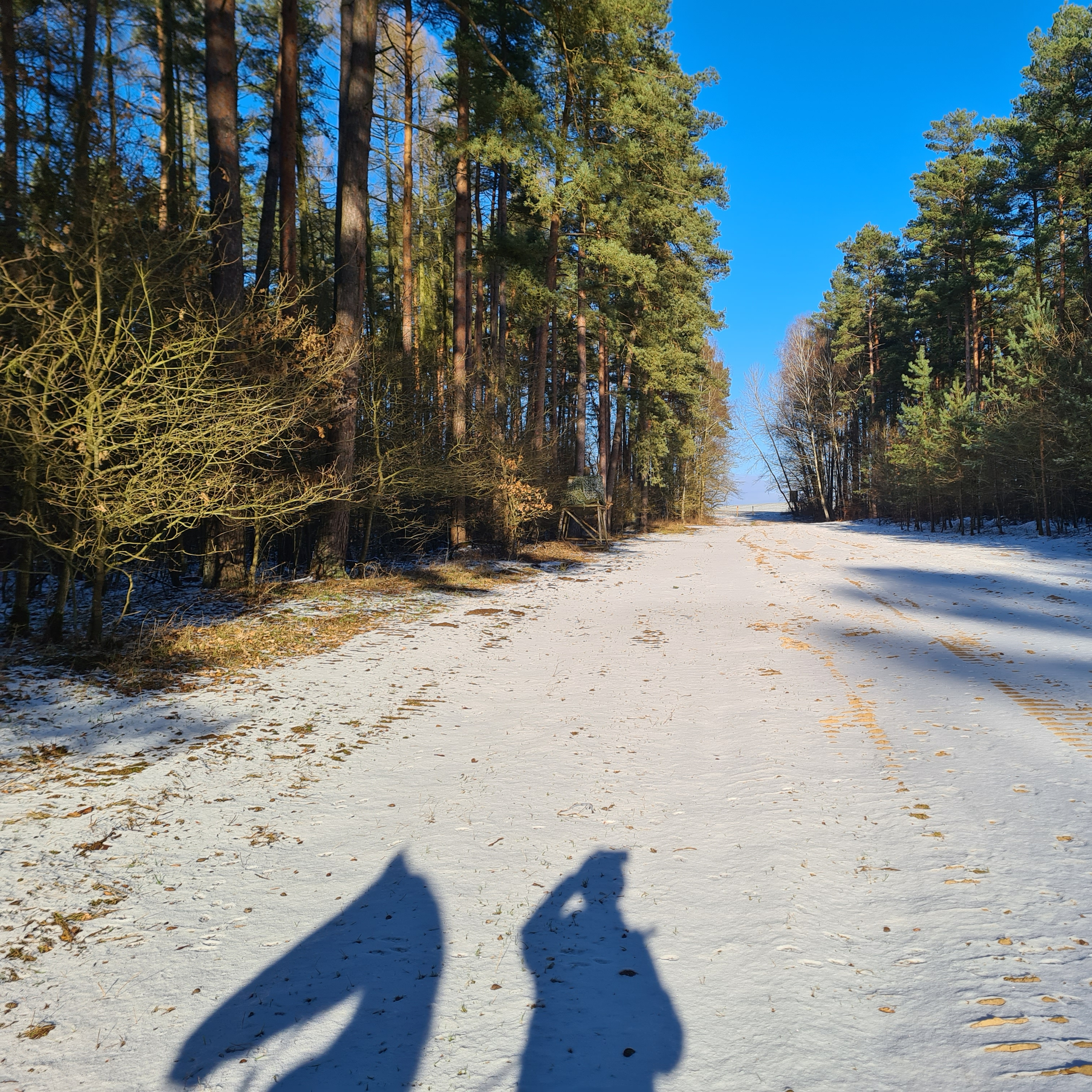wertschätzen und führen - die volle Verantwortung