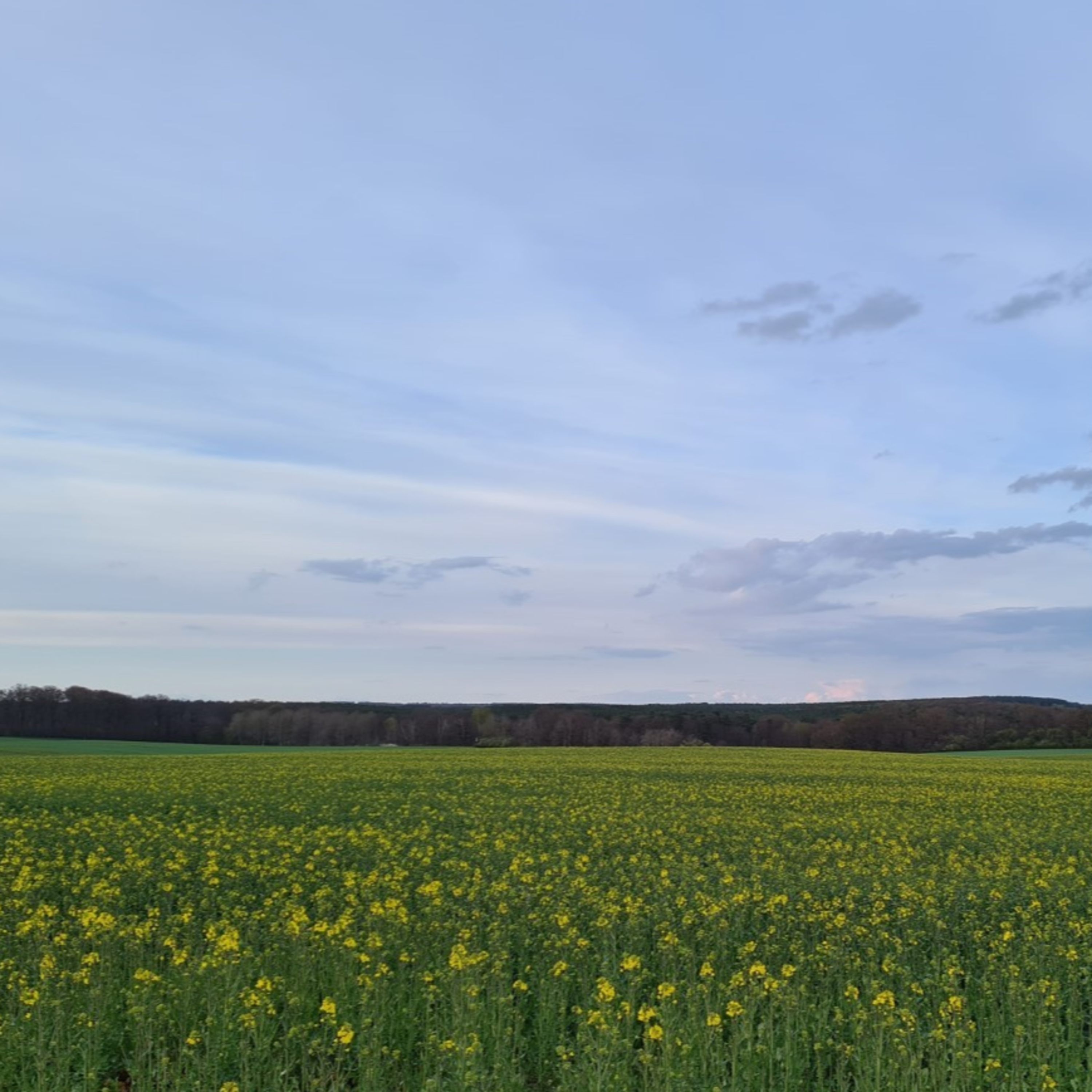 wertschätzen und führen - die volle Verantwortung