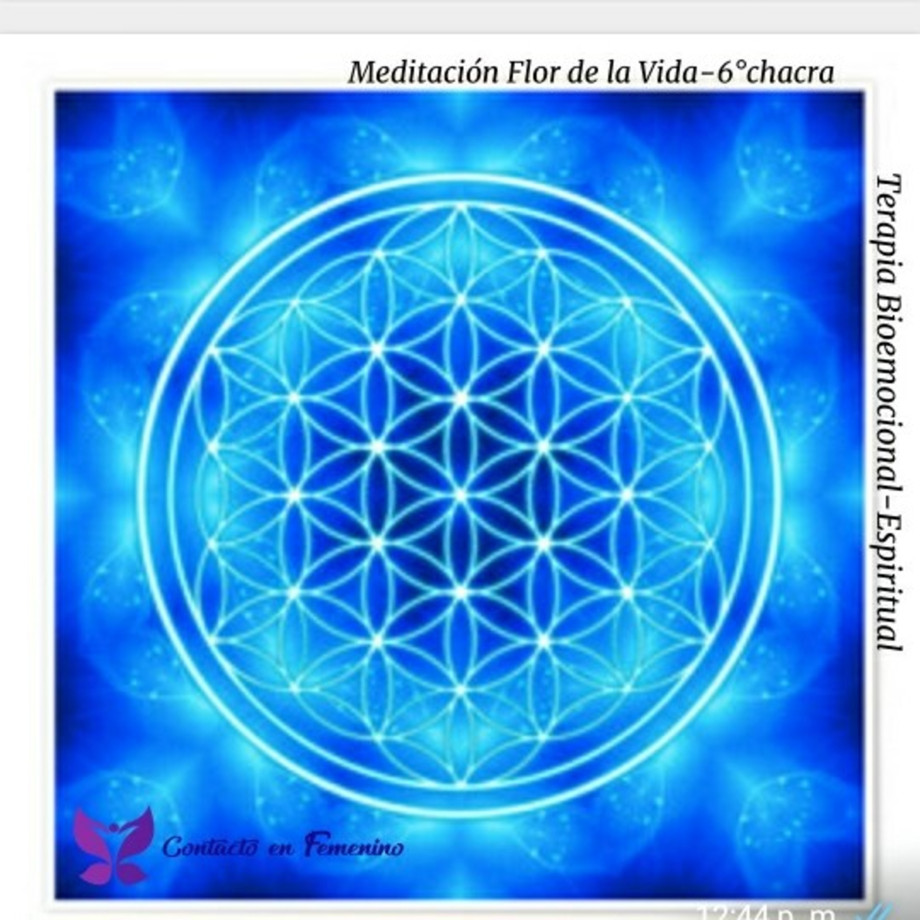 Mandala Flor de la Vida episode artwork