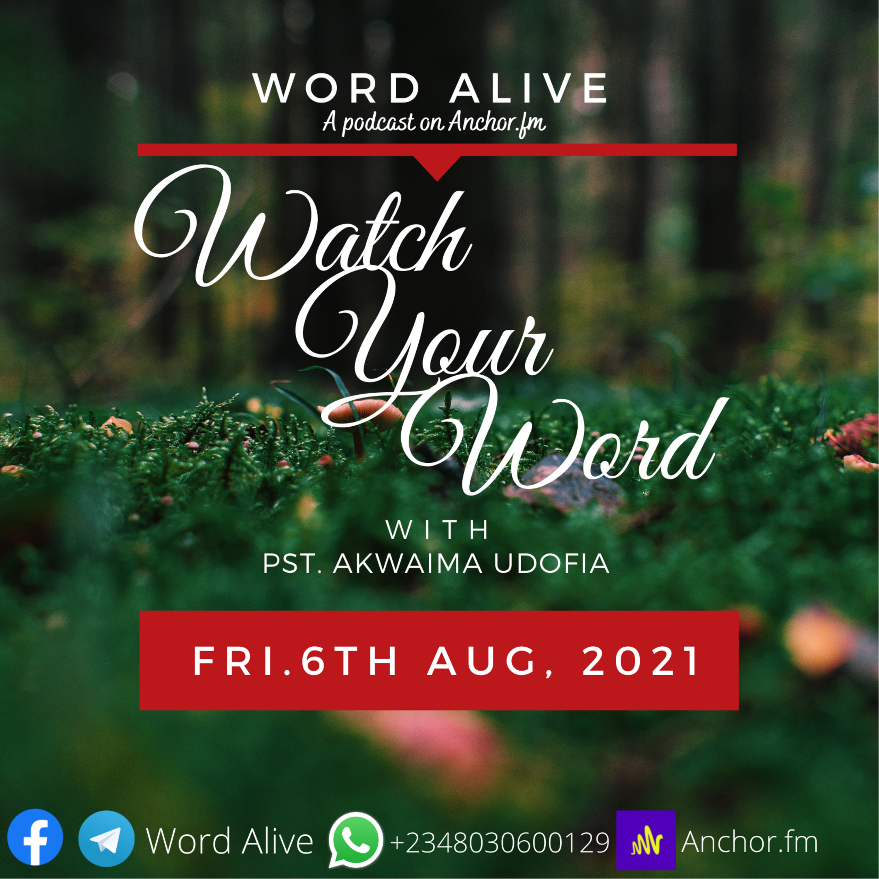 WATCH YOUR WORD  episode artwork