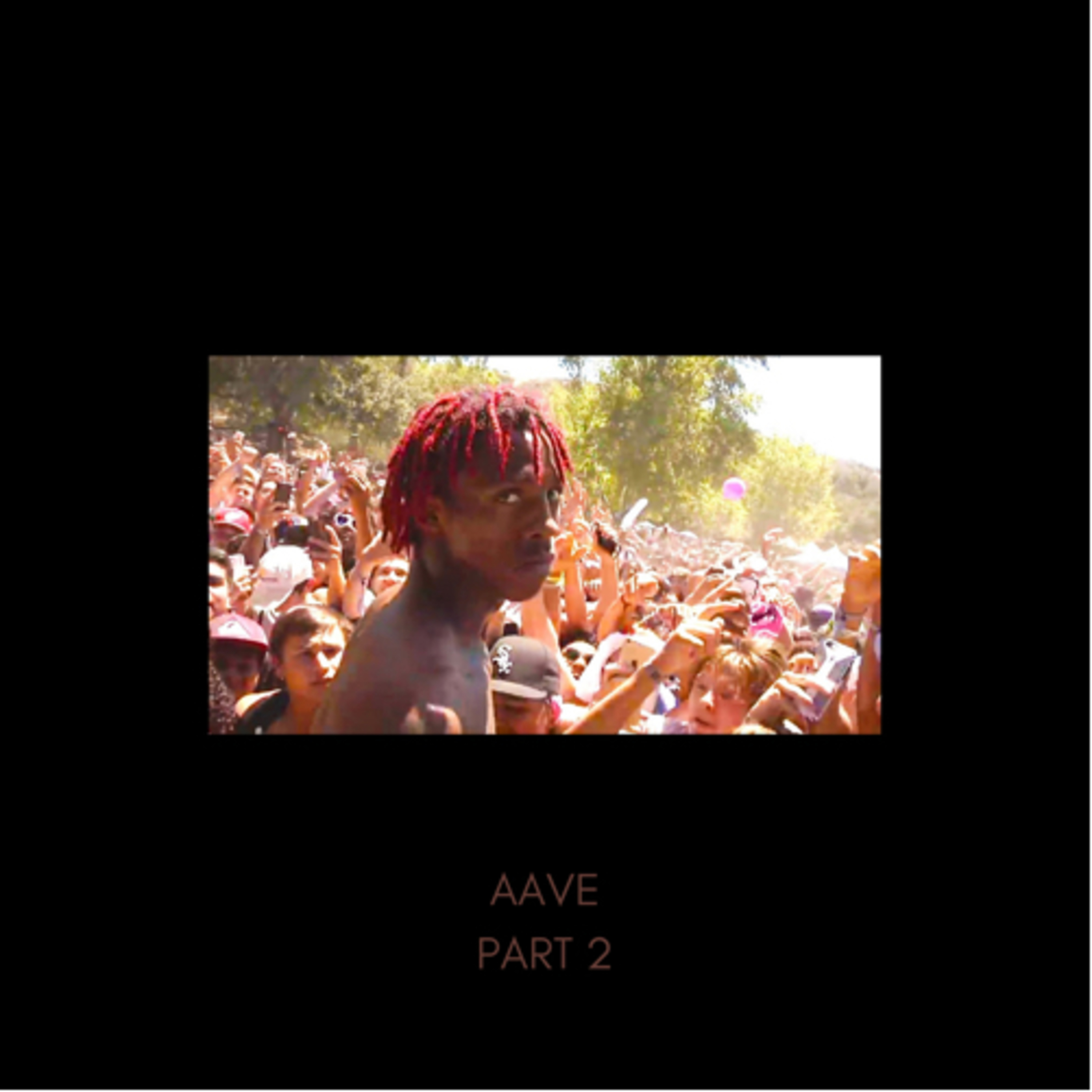 cover of episode My mind changed about AAVE