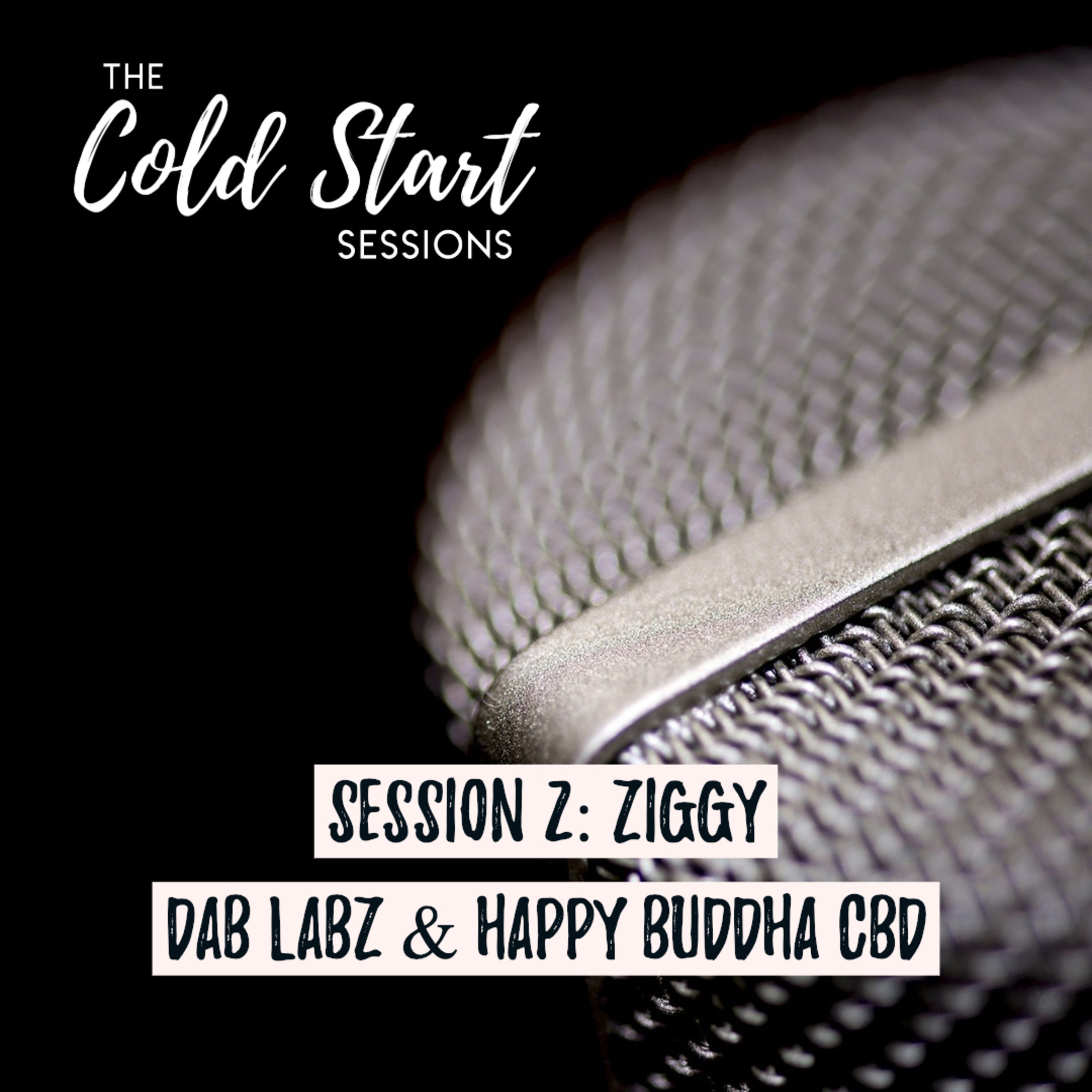 Episode 2 (Ziggy) episode artwork