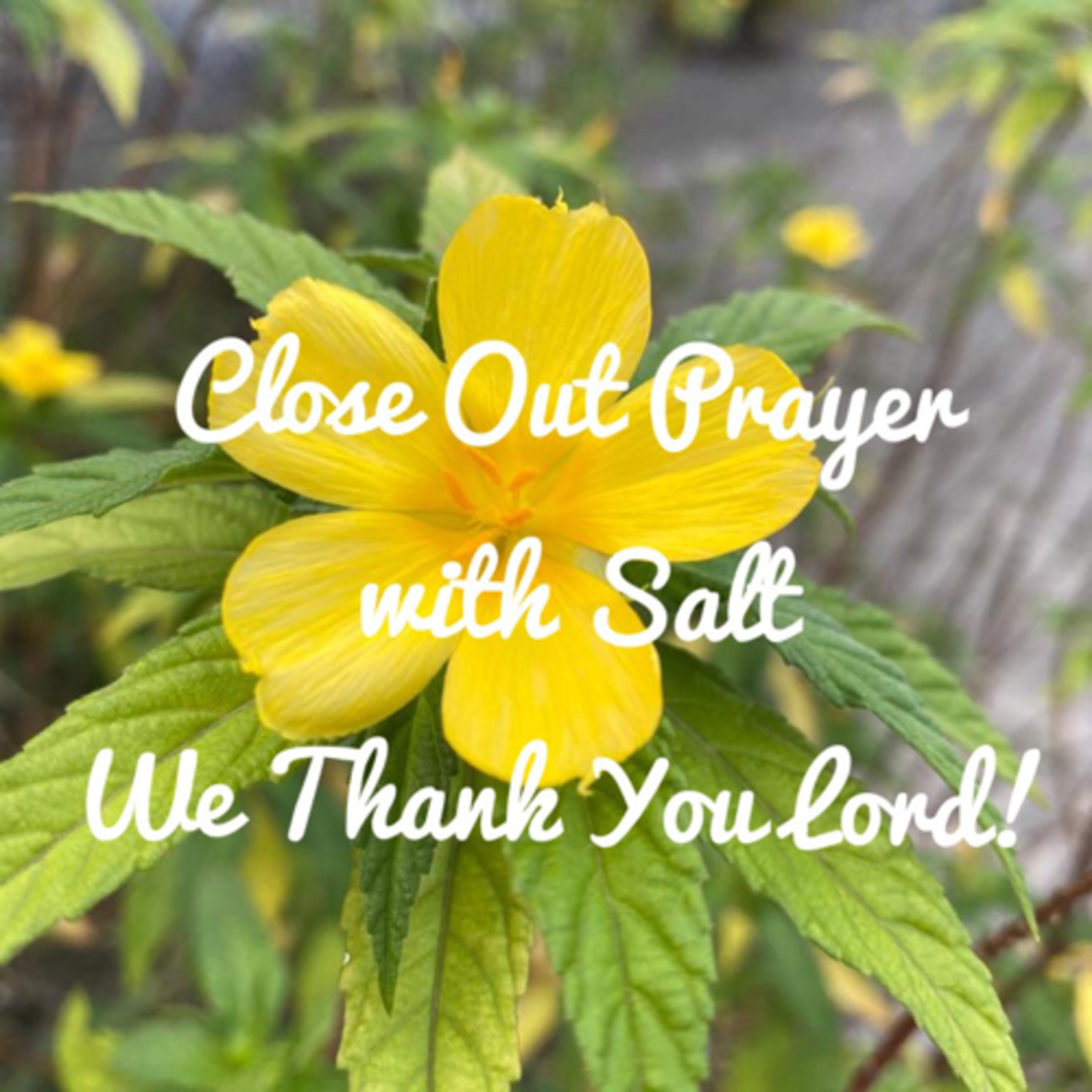 Close Out Prayer: Salt praying Praying Mums Week 2 episode artwork