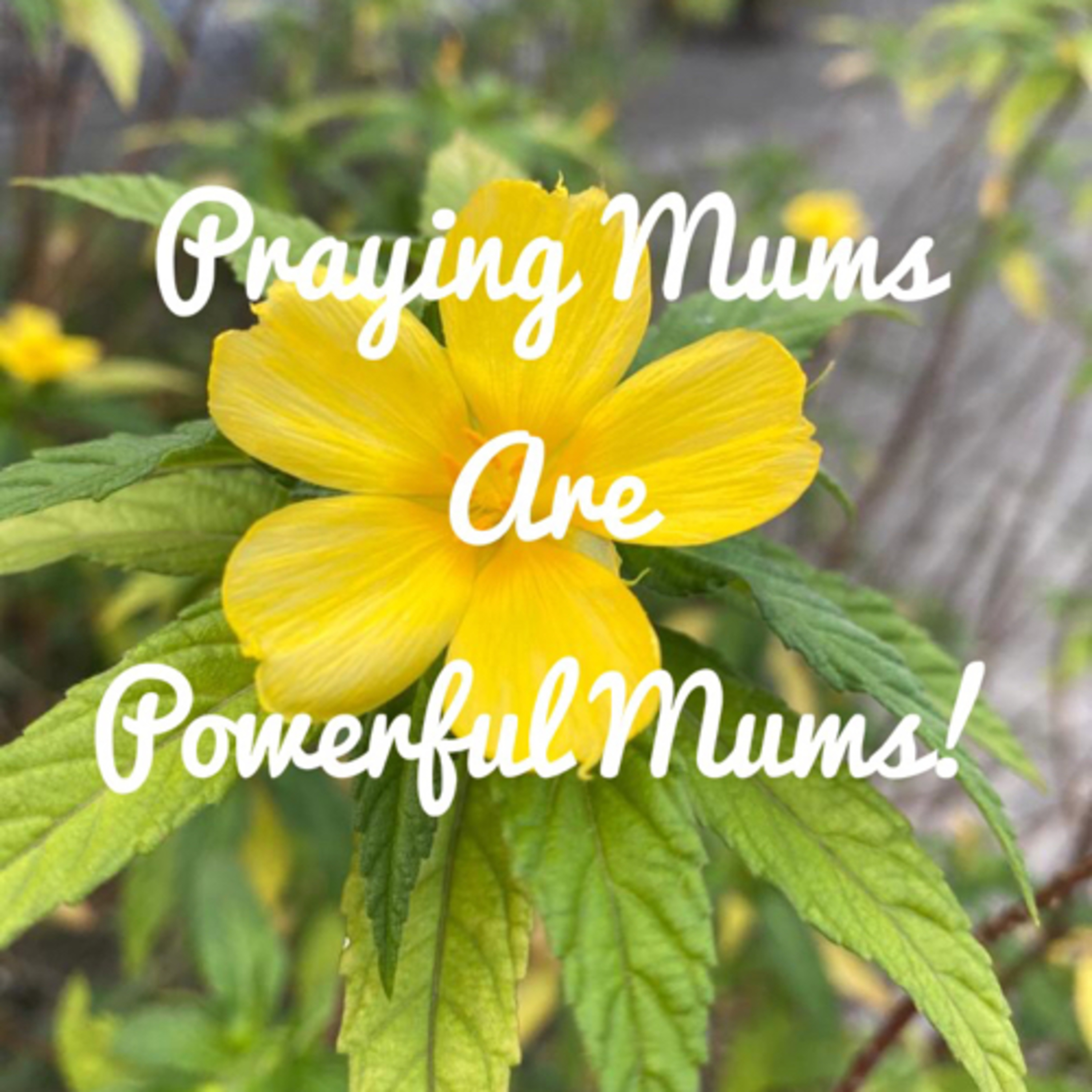 Week 4 Pre-Prayer Message: Salt + PMS  episode artwork