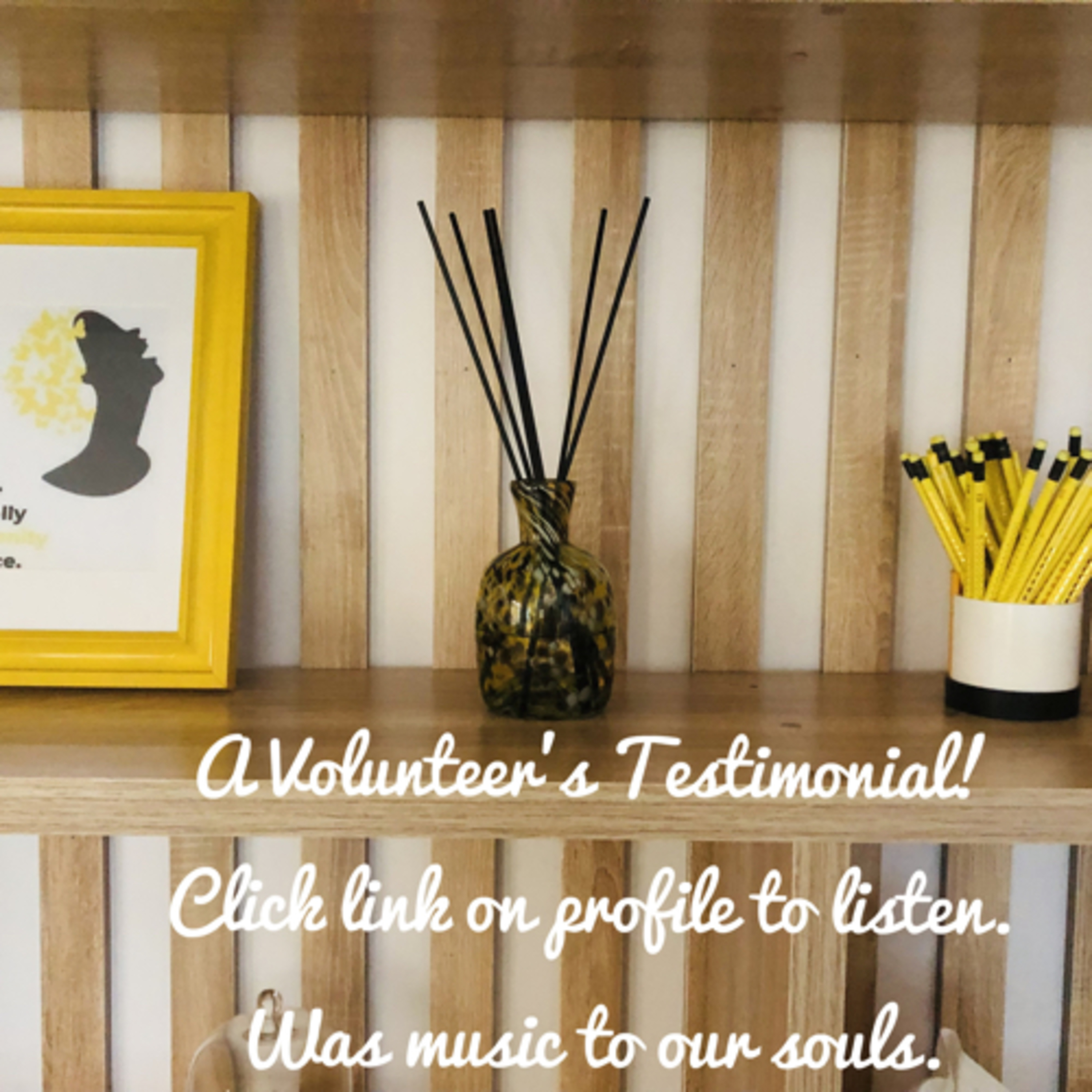The Sholly Serenity Place: A Volunteer’s Testimonial🌼 episode artwork