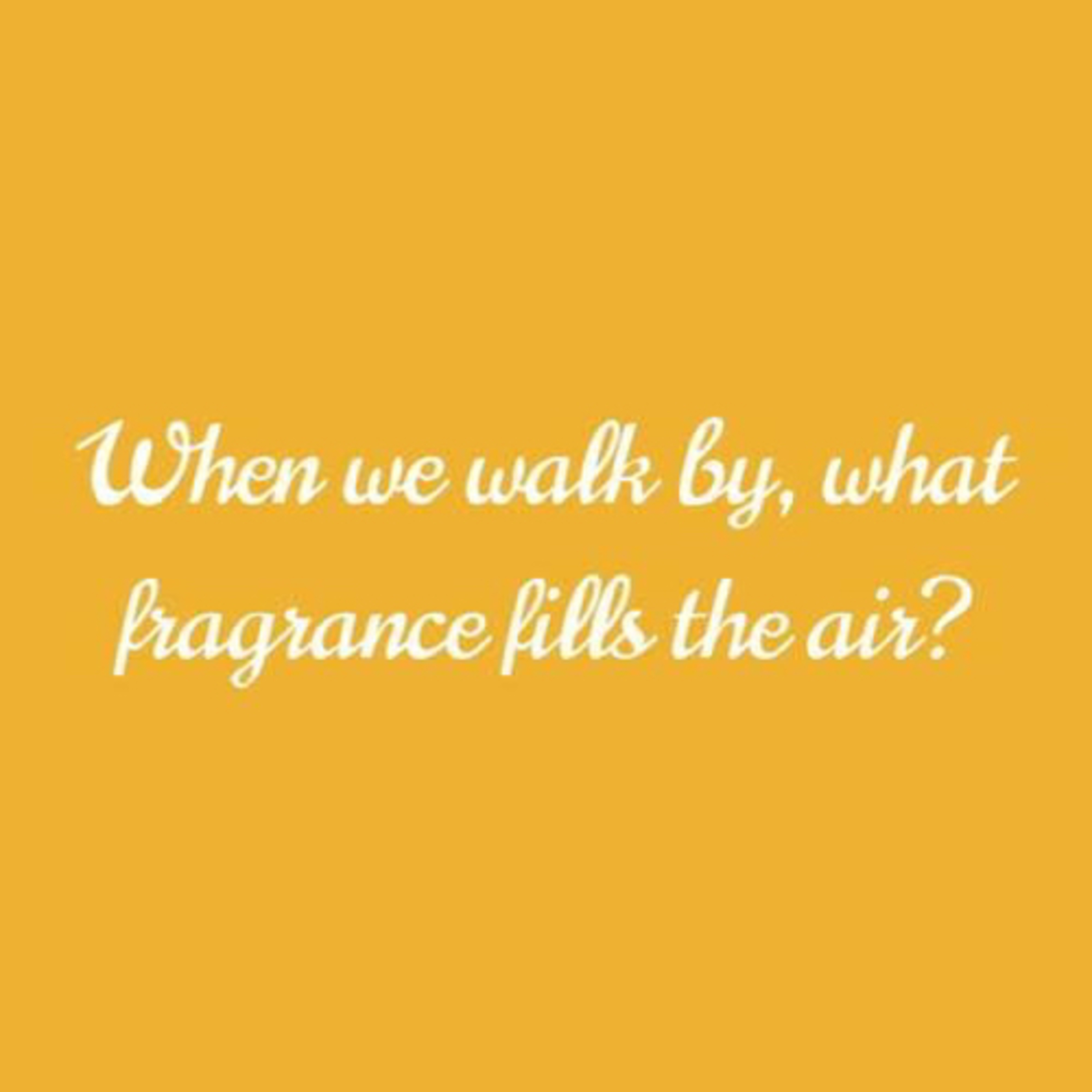 What Fragrance? (outro music produced by my LBS🥰🌼🥰) episode artwork