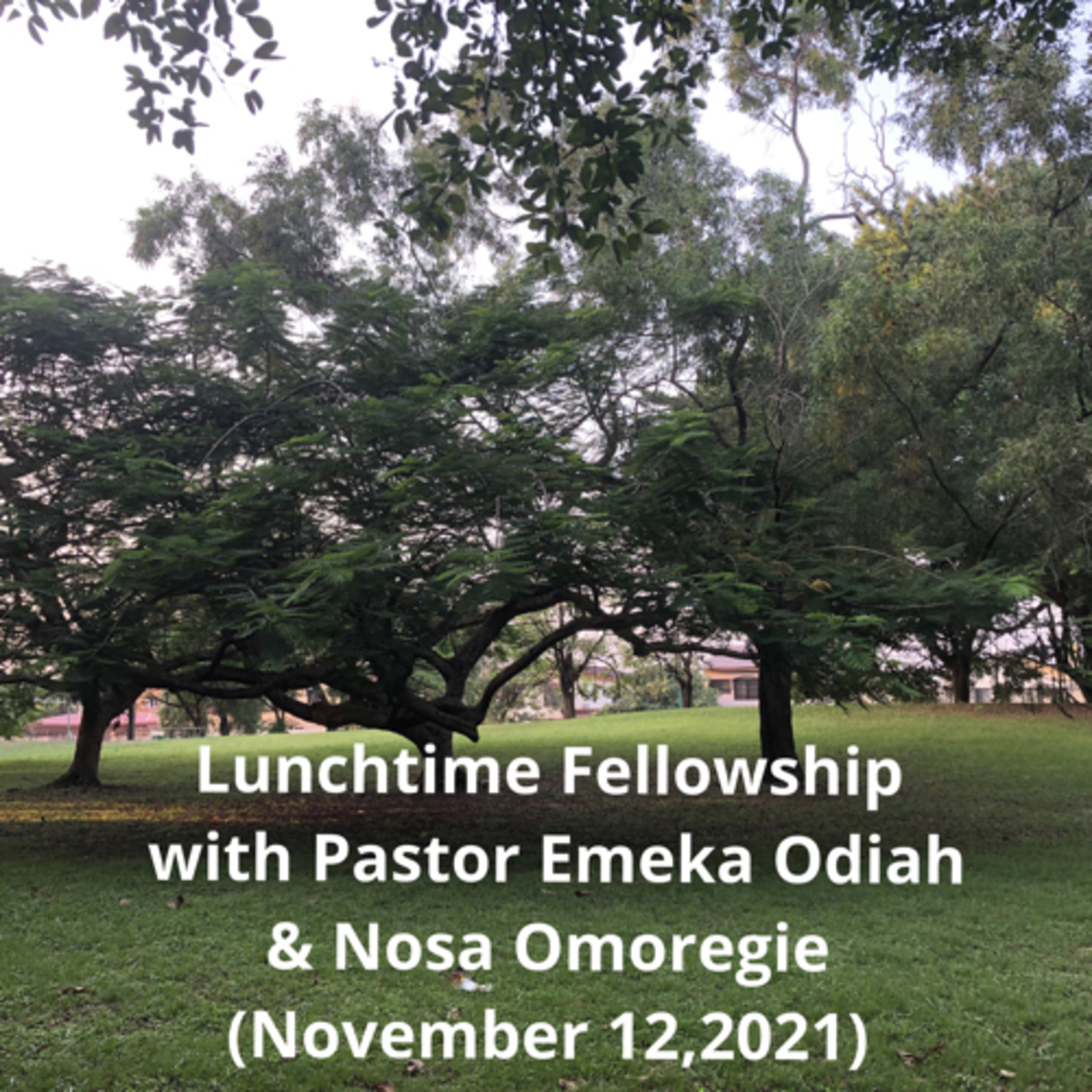 Lunchtime Fellowship with Pastor Emeka Odiah & Nosa Omoregie (November 12,2021) episode artwork
