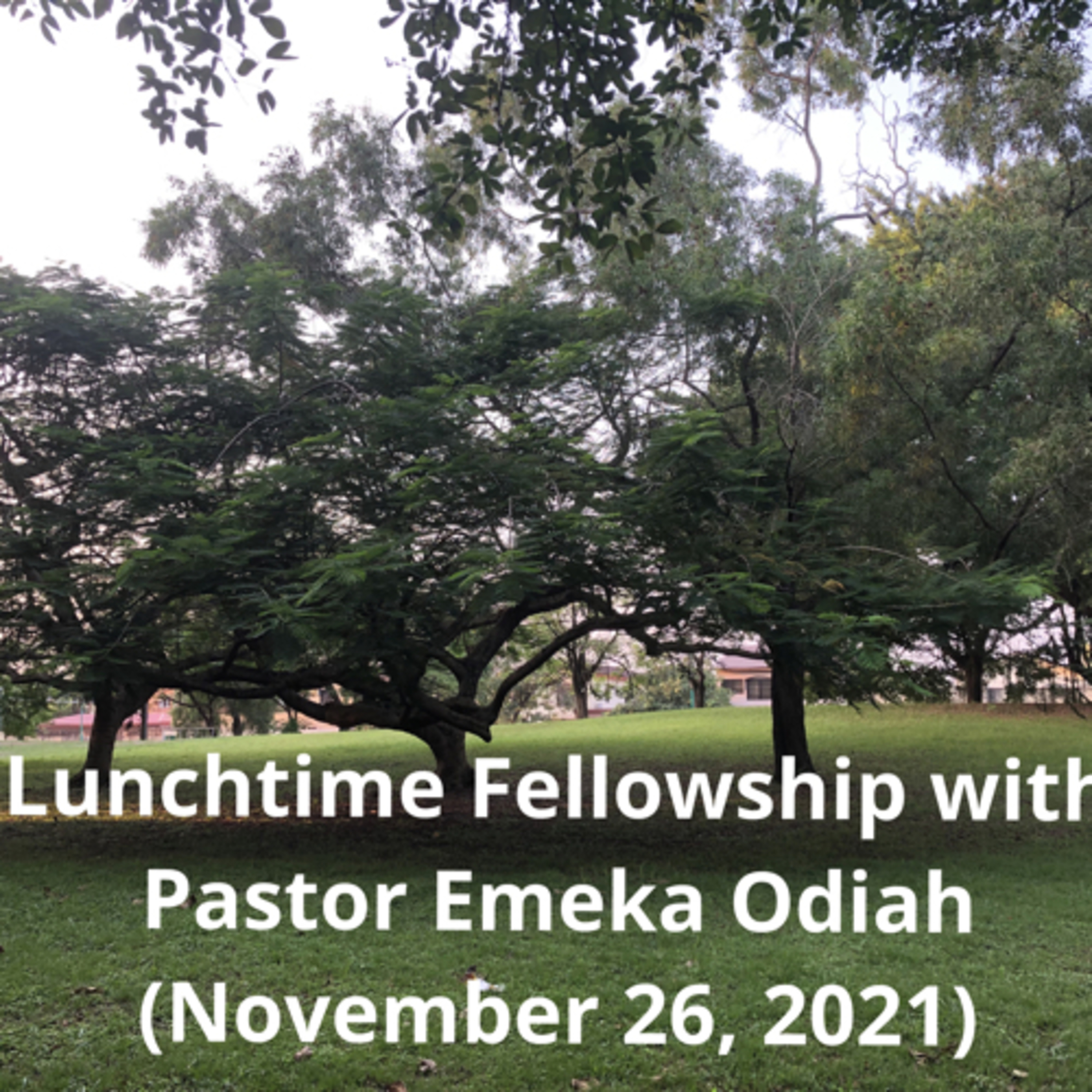 Lunchtime Fellowship with Pastor Emeka Odiah (November 26, 2021)  episode artwork