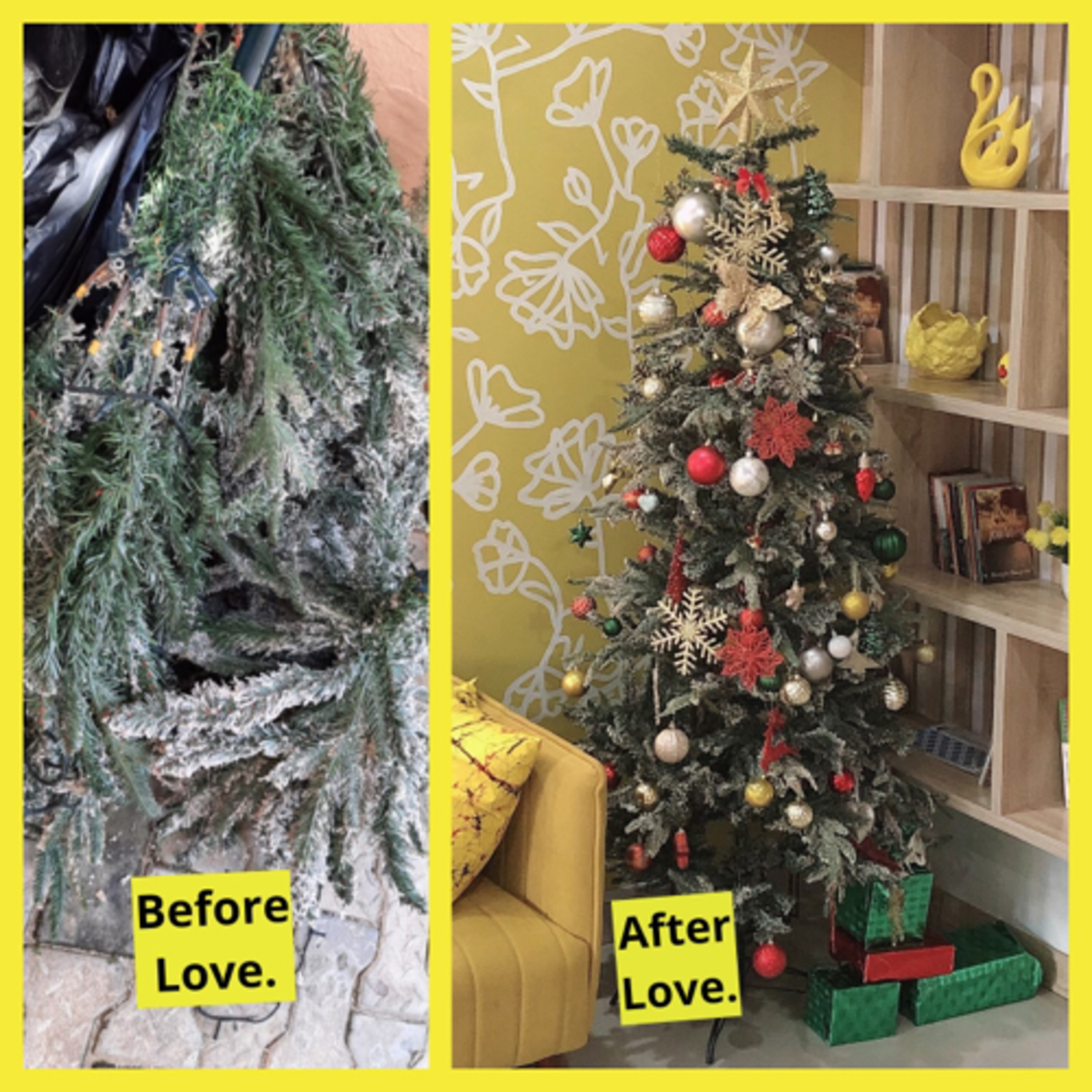 Lessons From Our TSSP Christmas Tree!  episode artwork