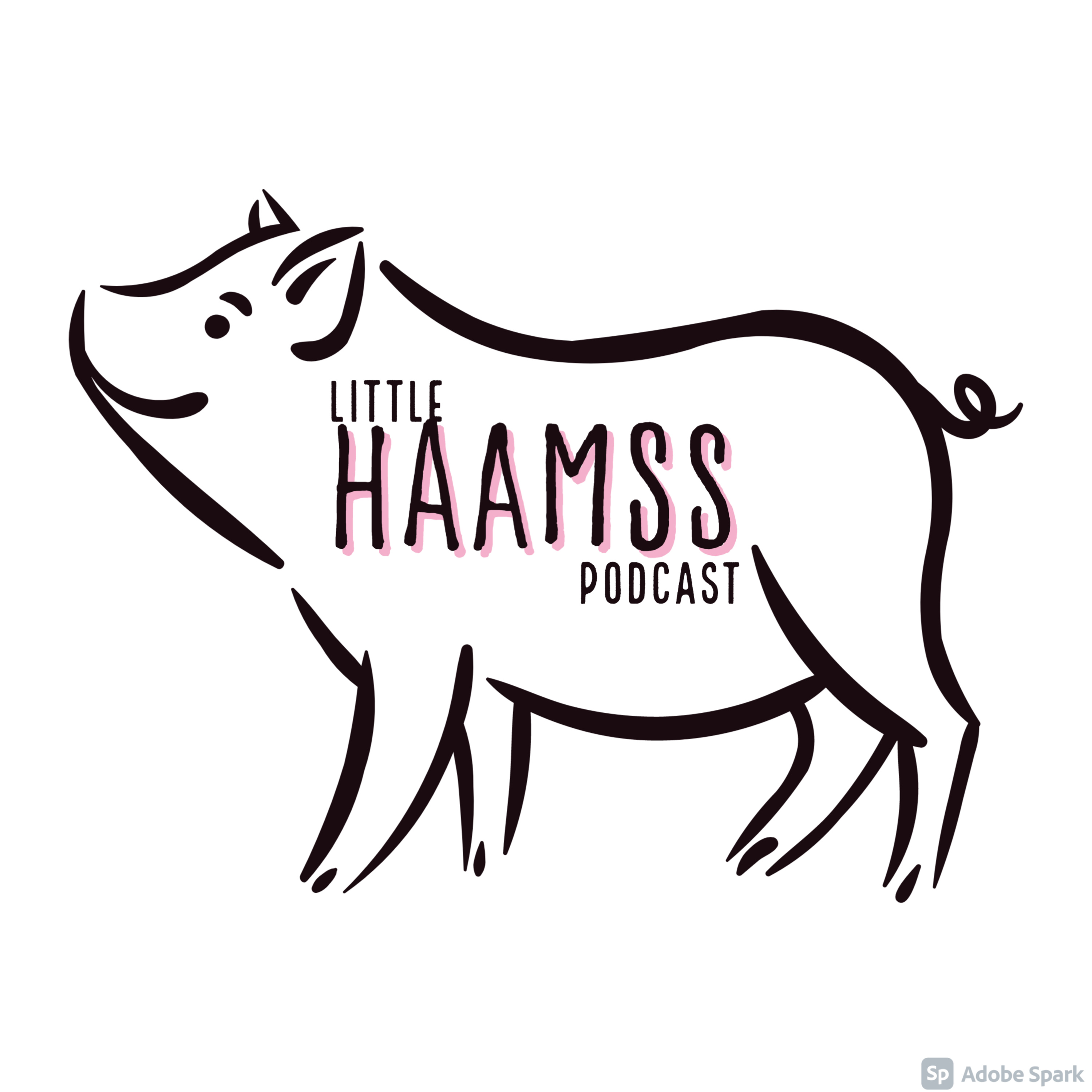 Introducing the Little HAAMSS Podcast