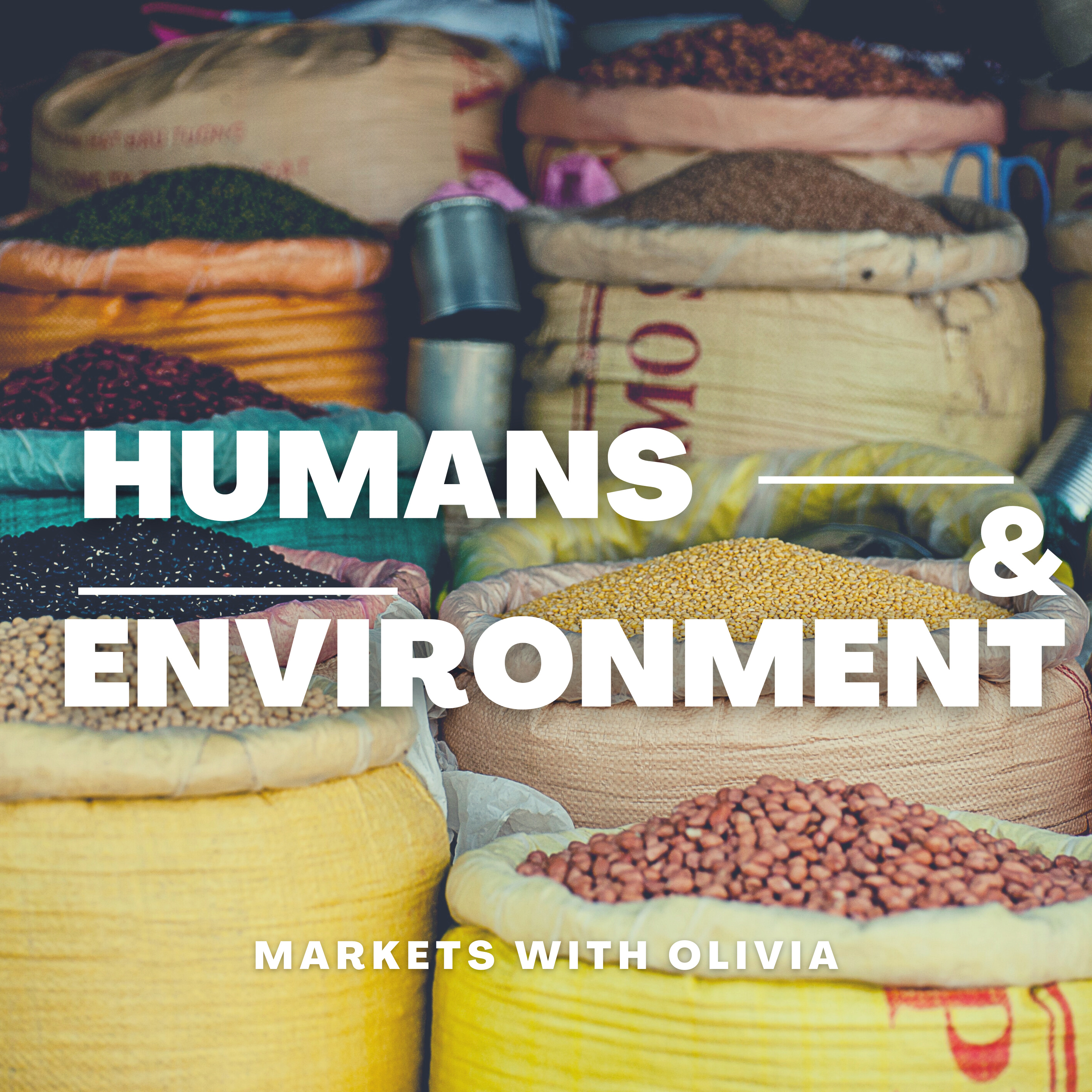 Restorative Natech: Mini-Lessons that use technology to connect with nature