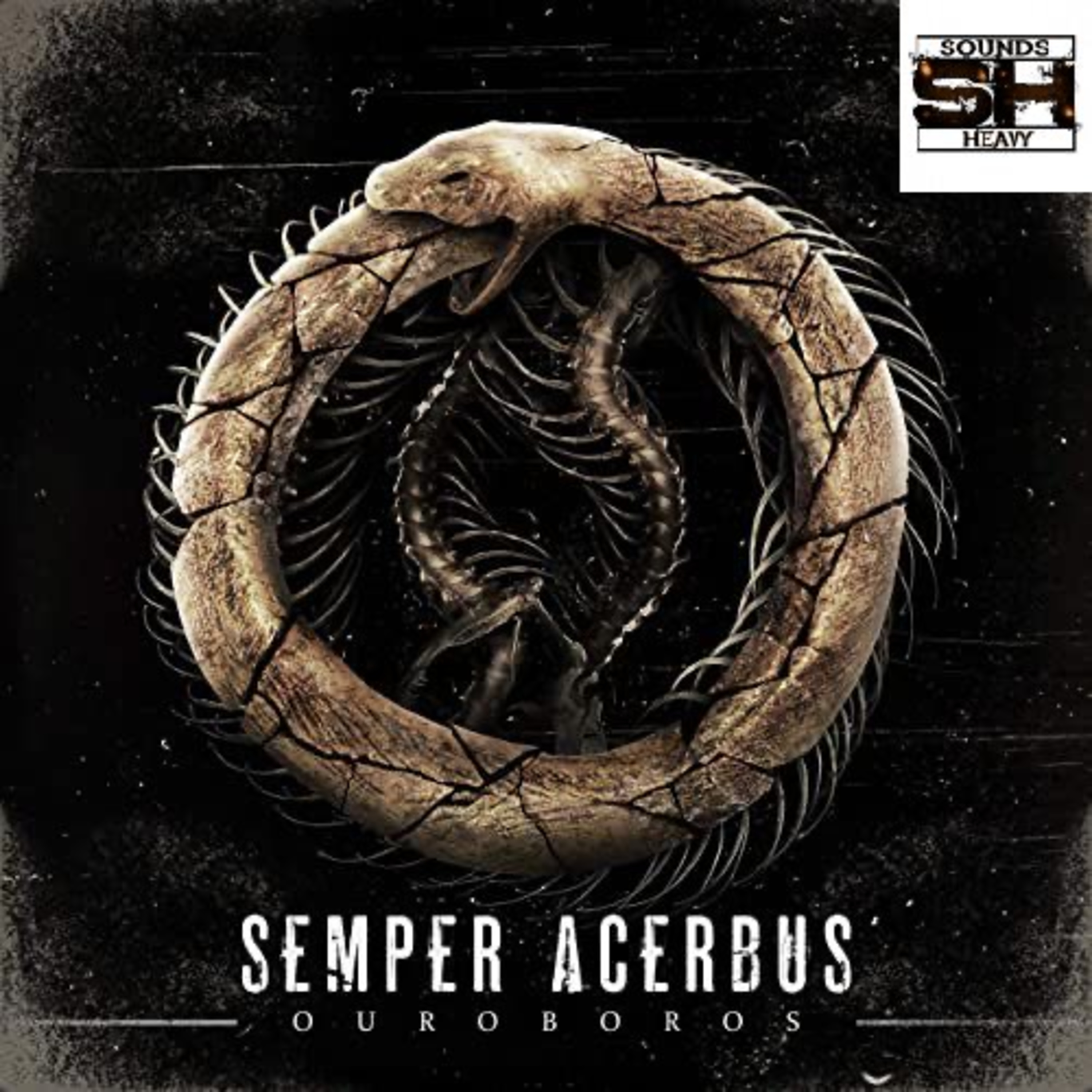Semper Acerbus-Ouroboros Album Review Discussion